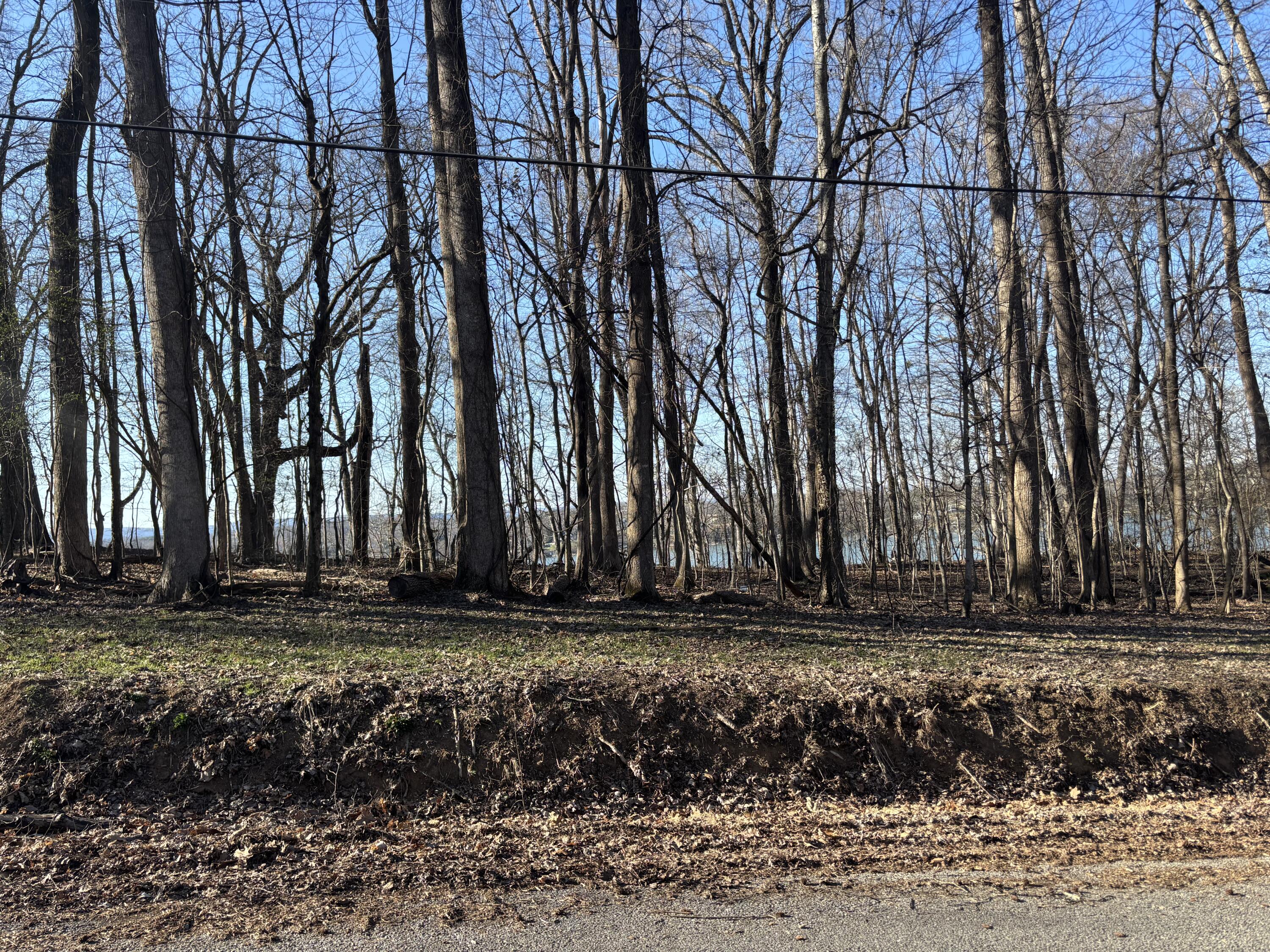 00 Crestwood Lot 27 Trail, Harrison, Tennessee image 10