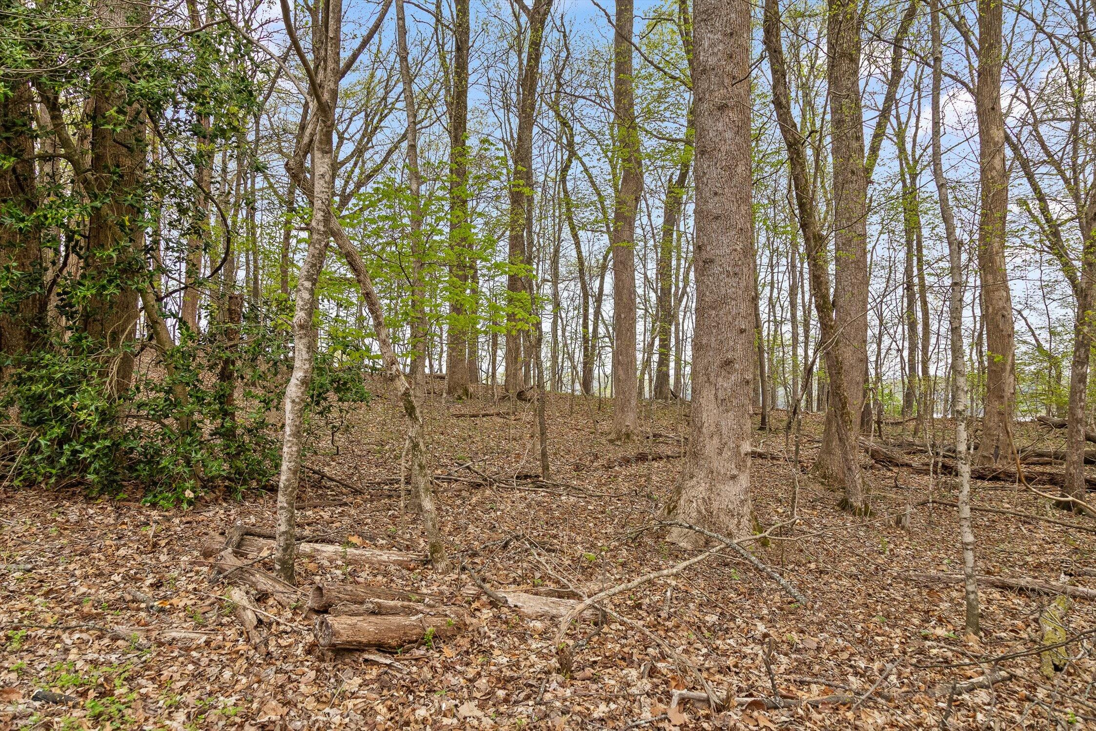 00 Crestwood Lot 27 Trail, Harrison, Tennessee image 15