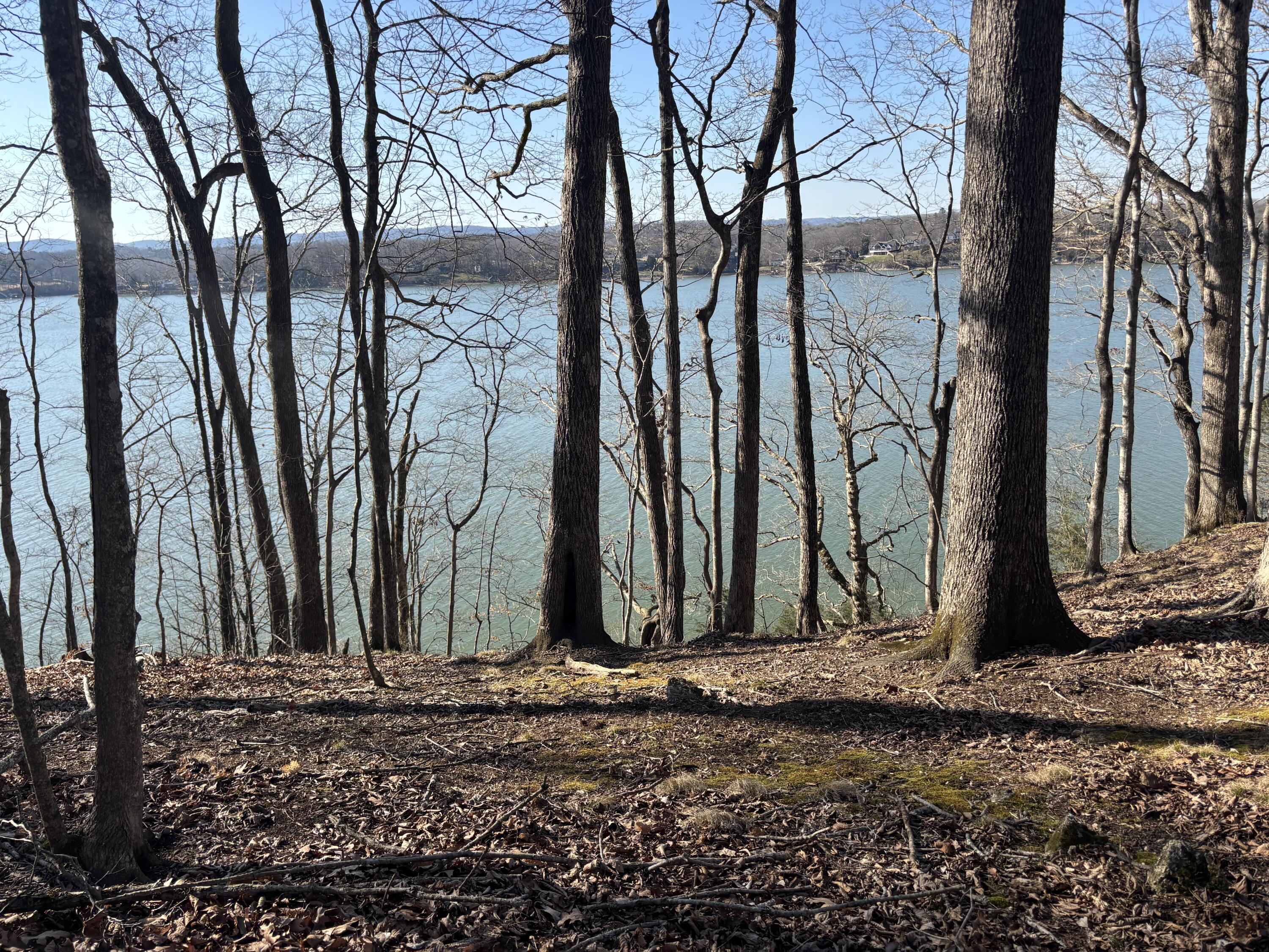 00 Crestwood Lot 27 Trail, Harrison, Tennessee image 7