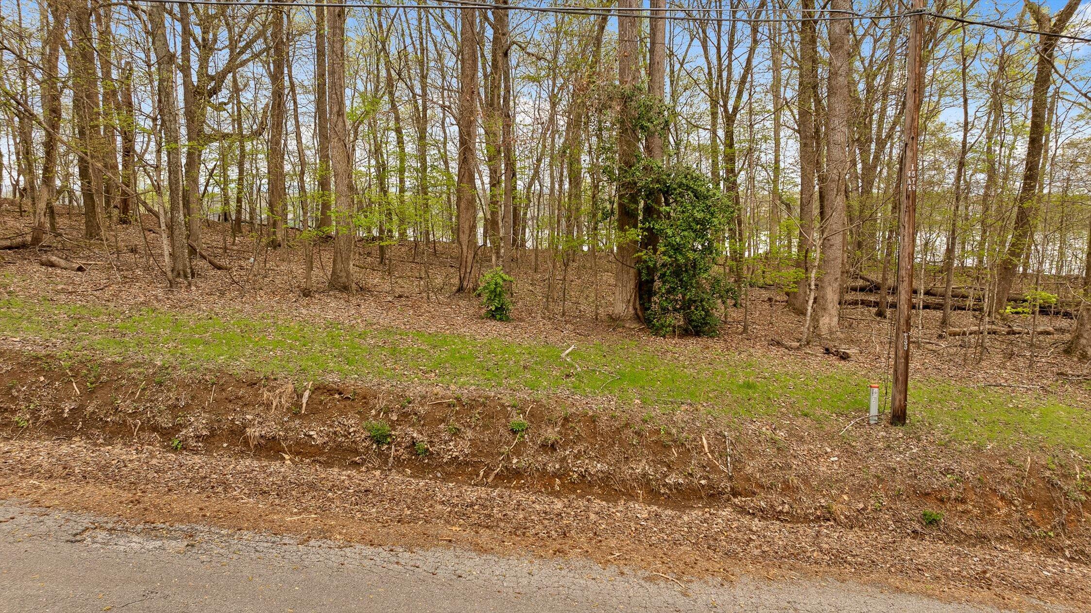 00 Crestwood Lot 27 Trail, Harrison, Tennessee image 6
