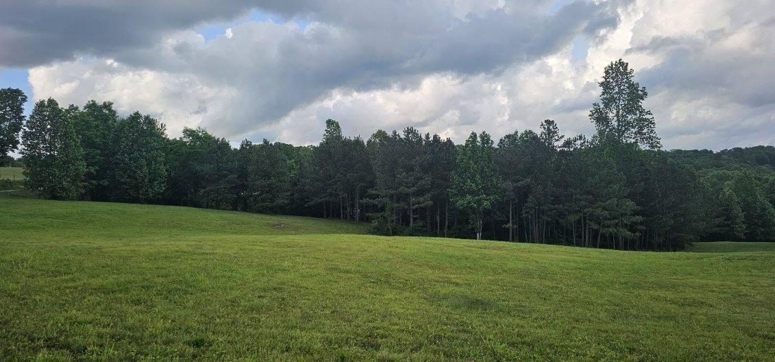 20 John Henry Lewis Road #20, Dunlap, Tennessee image 9