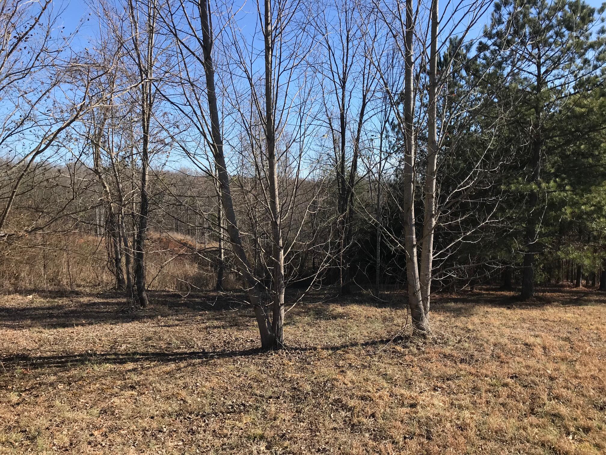 20 John Henry Lewis Road #20, Dunlap, Tennessee image 13