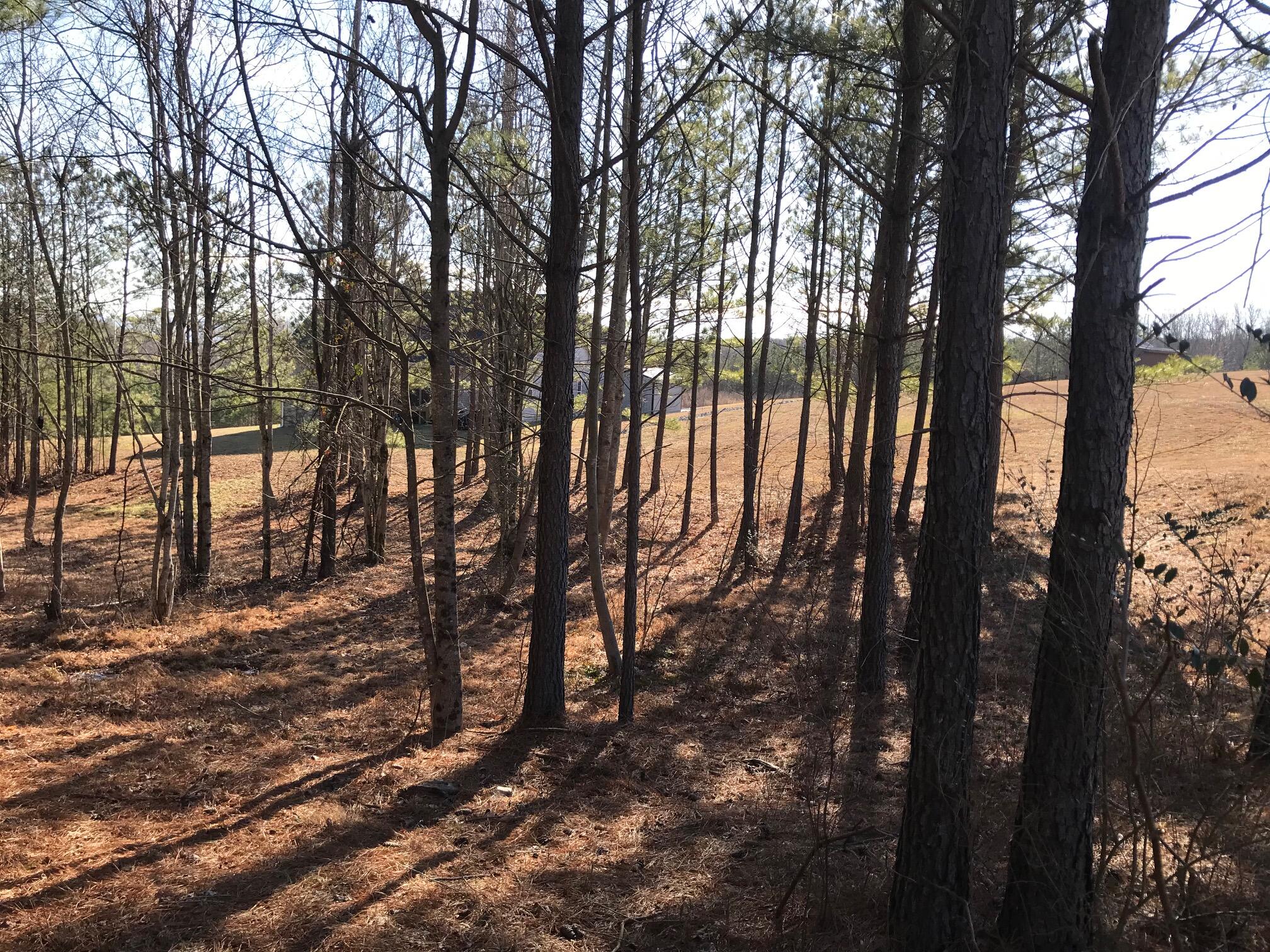 20 John Henry Lewis Road #20, Dunlap, Tennessee image 8