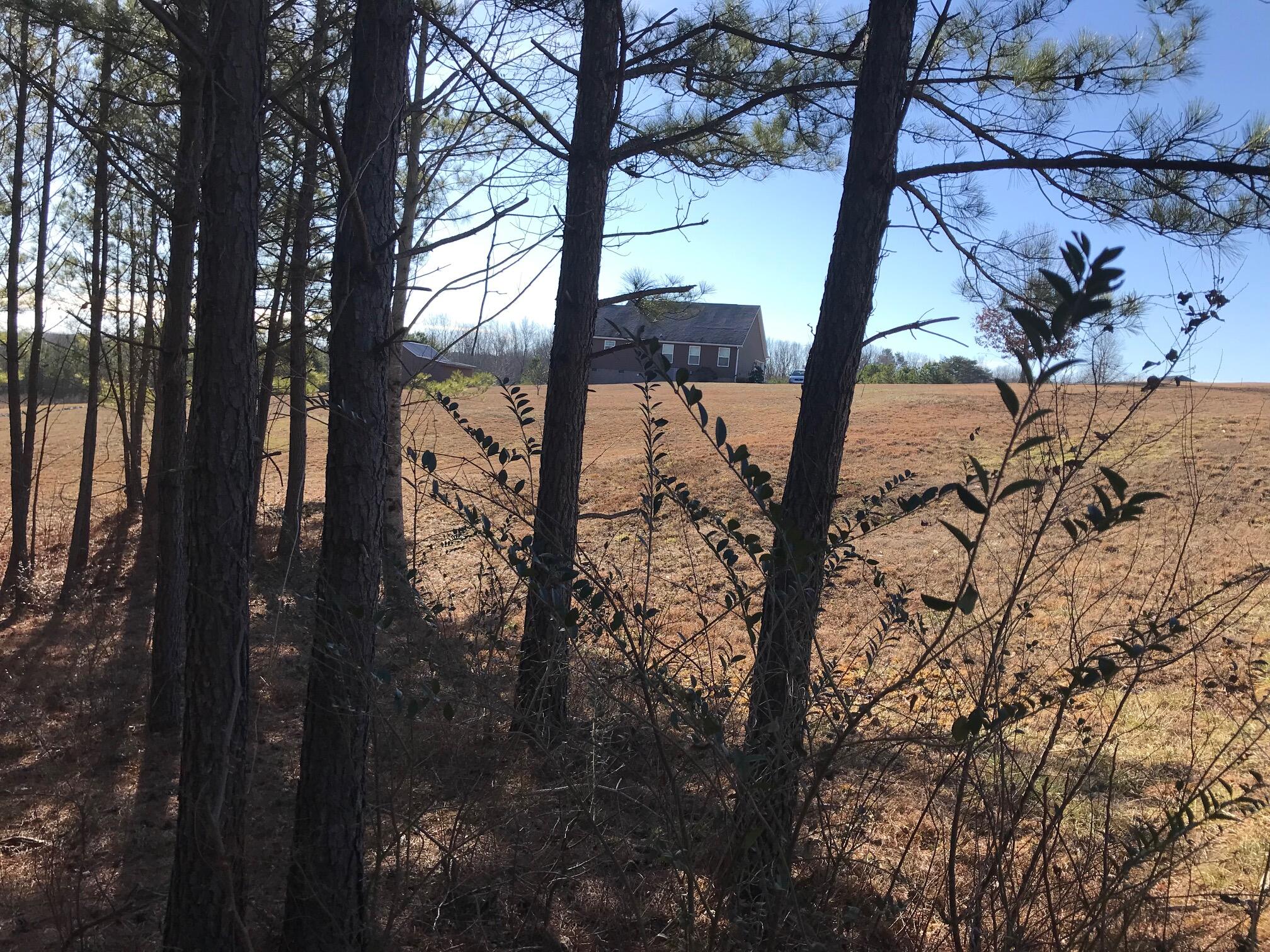 20 John Henry Lewis Road #20, Dunlap, Tennessee image 9