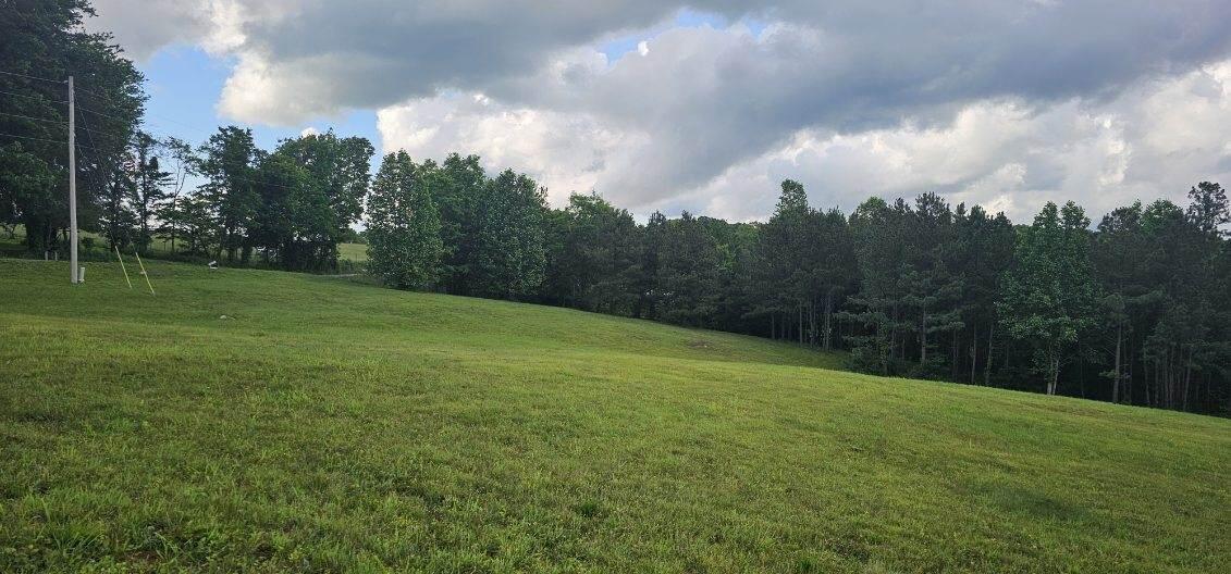 20 John Henry Lewis Road #20, Dunlap, Tennessee image 3