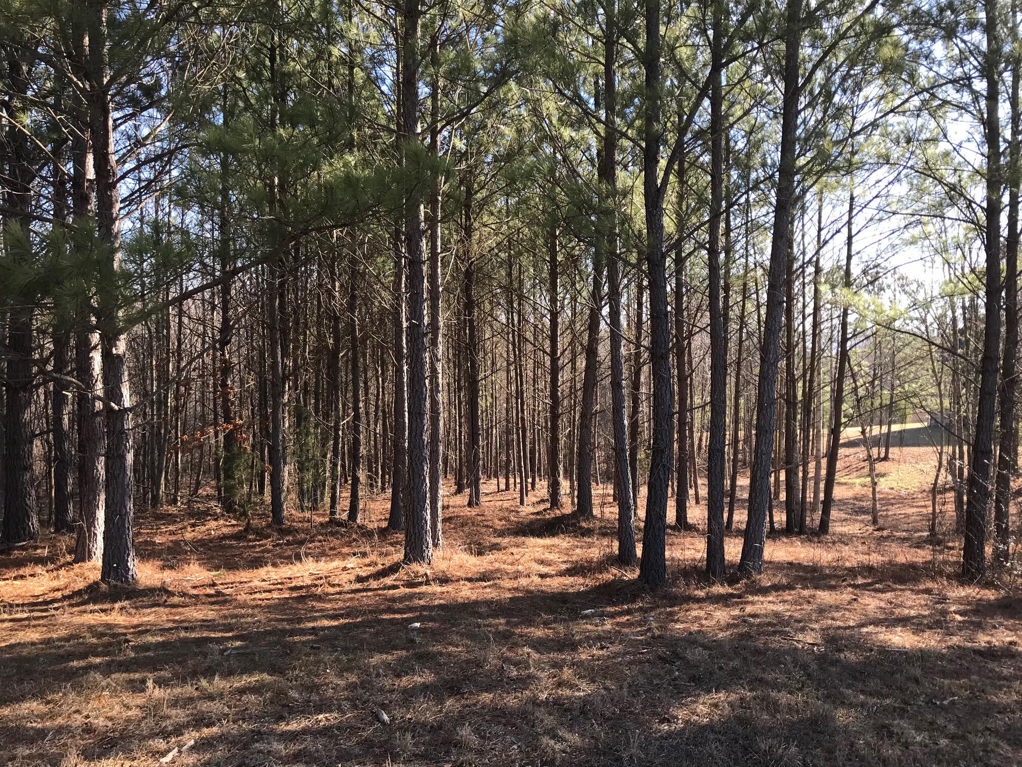 20 John Henry Lewis Road #20, Dunlap, Tennessee image 15