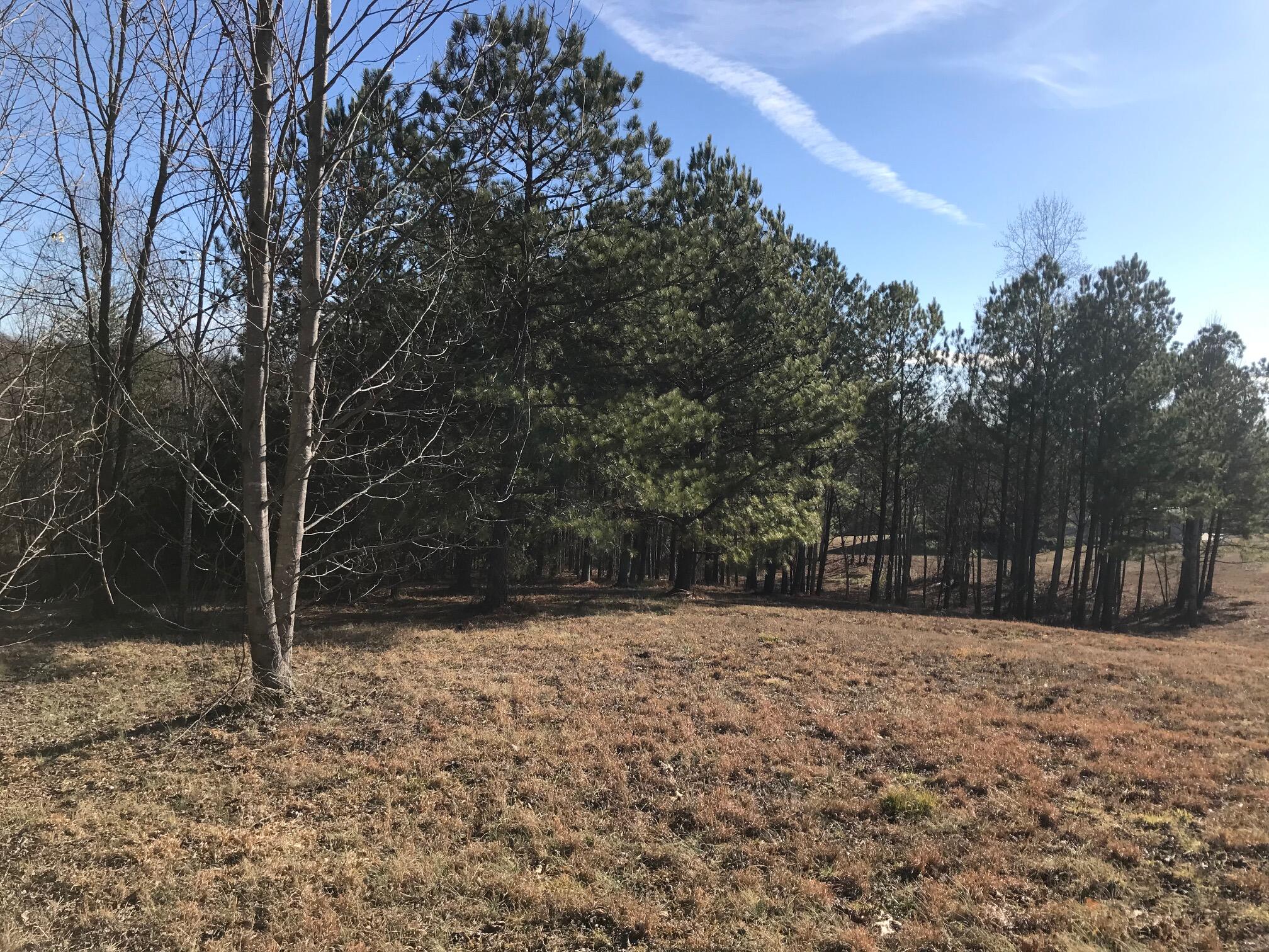 20 John Henry Lewis Road #20, Dunlap, Tennessee image 14