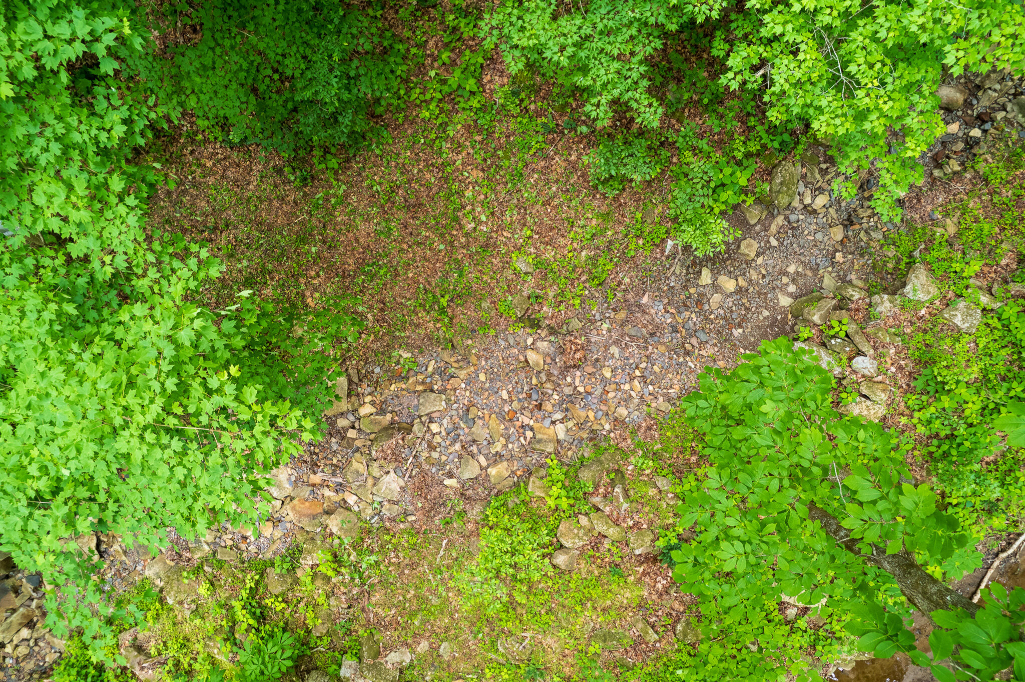 00 Murphy Hollow