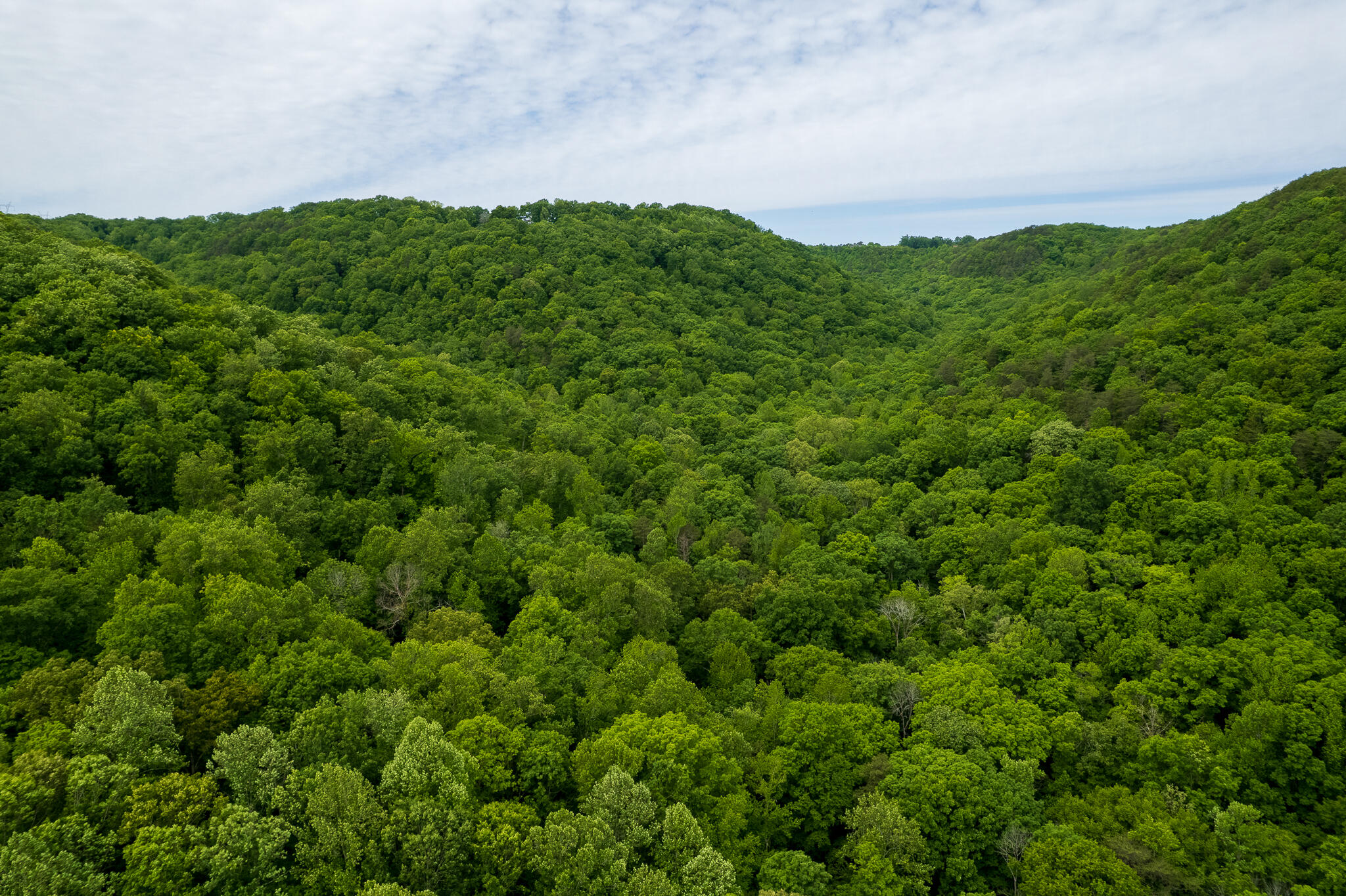 00 Murphy Hollow