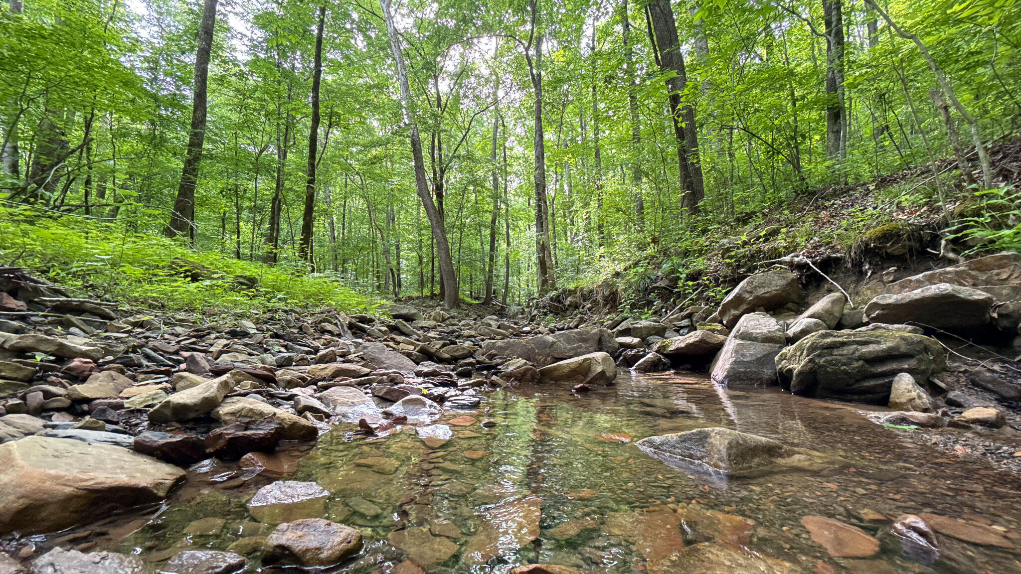00 Murphy Hollow