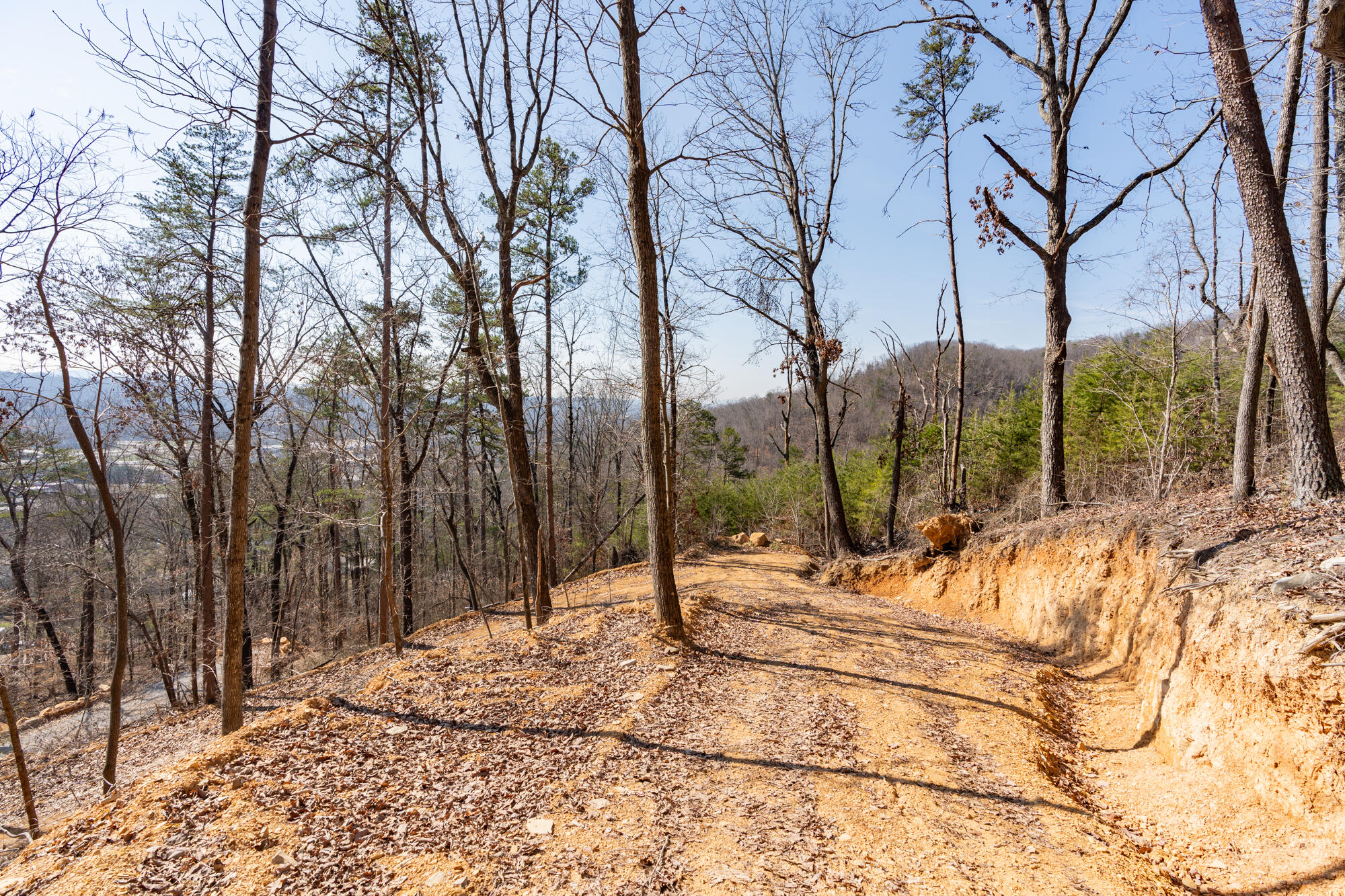 134 Hamilton Avenue, Soddy Daisy, Tennessee image 17