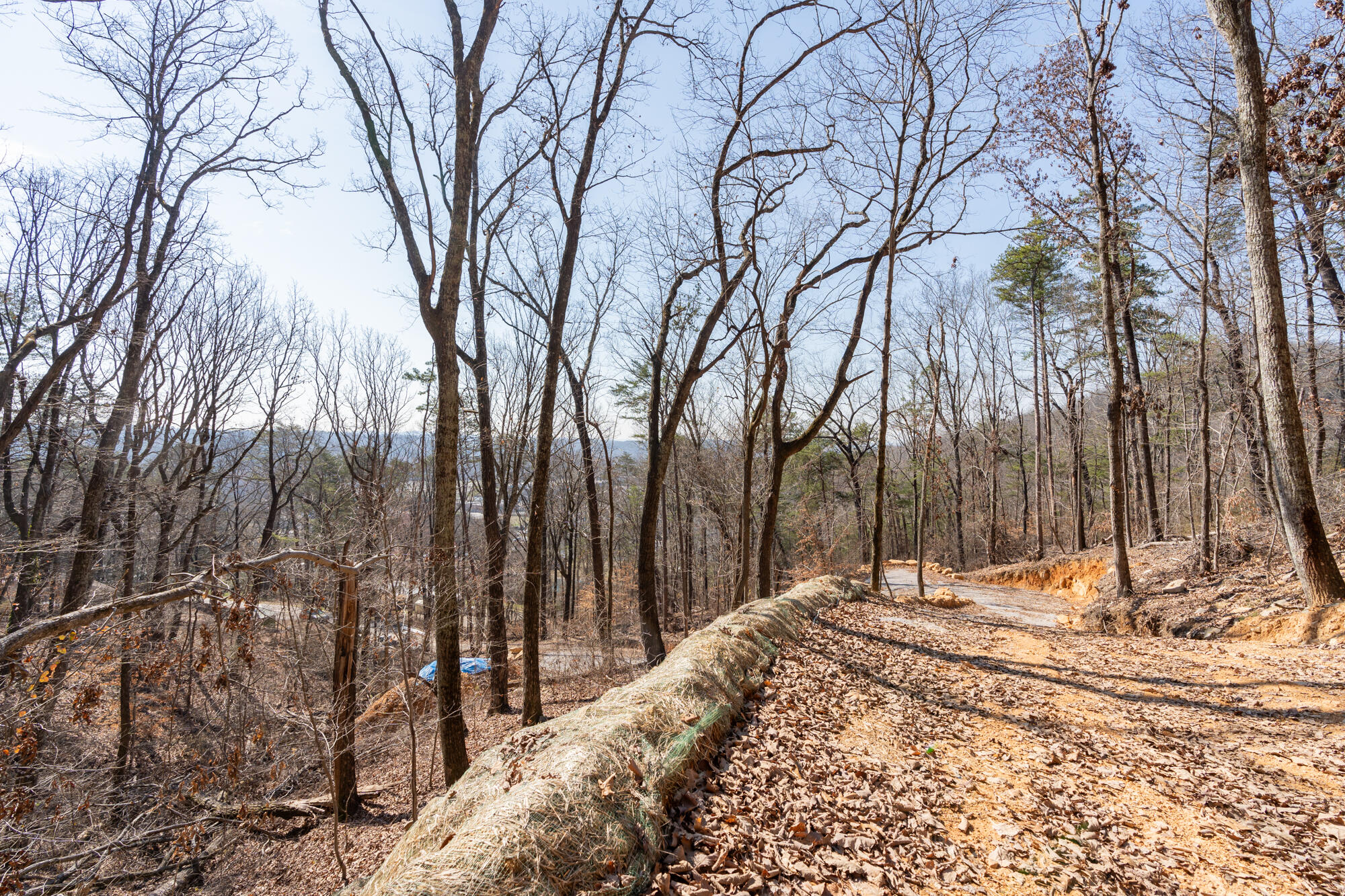 134 Hamilton Avenue, Soddy Daisy, Tennessee image 21