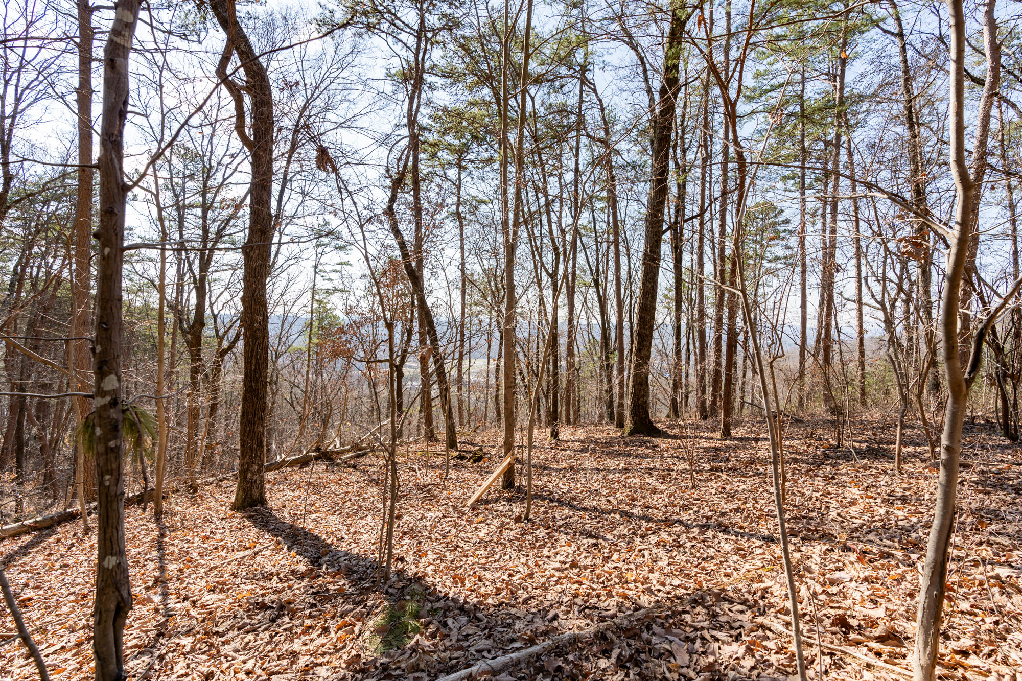 134 Hamilton Avenue, Soddy Daisy, Tennessee image 10