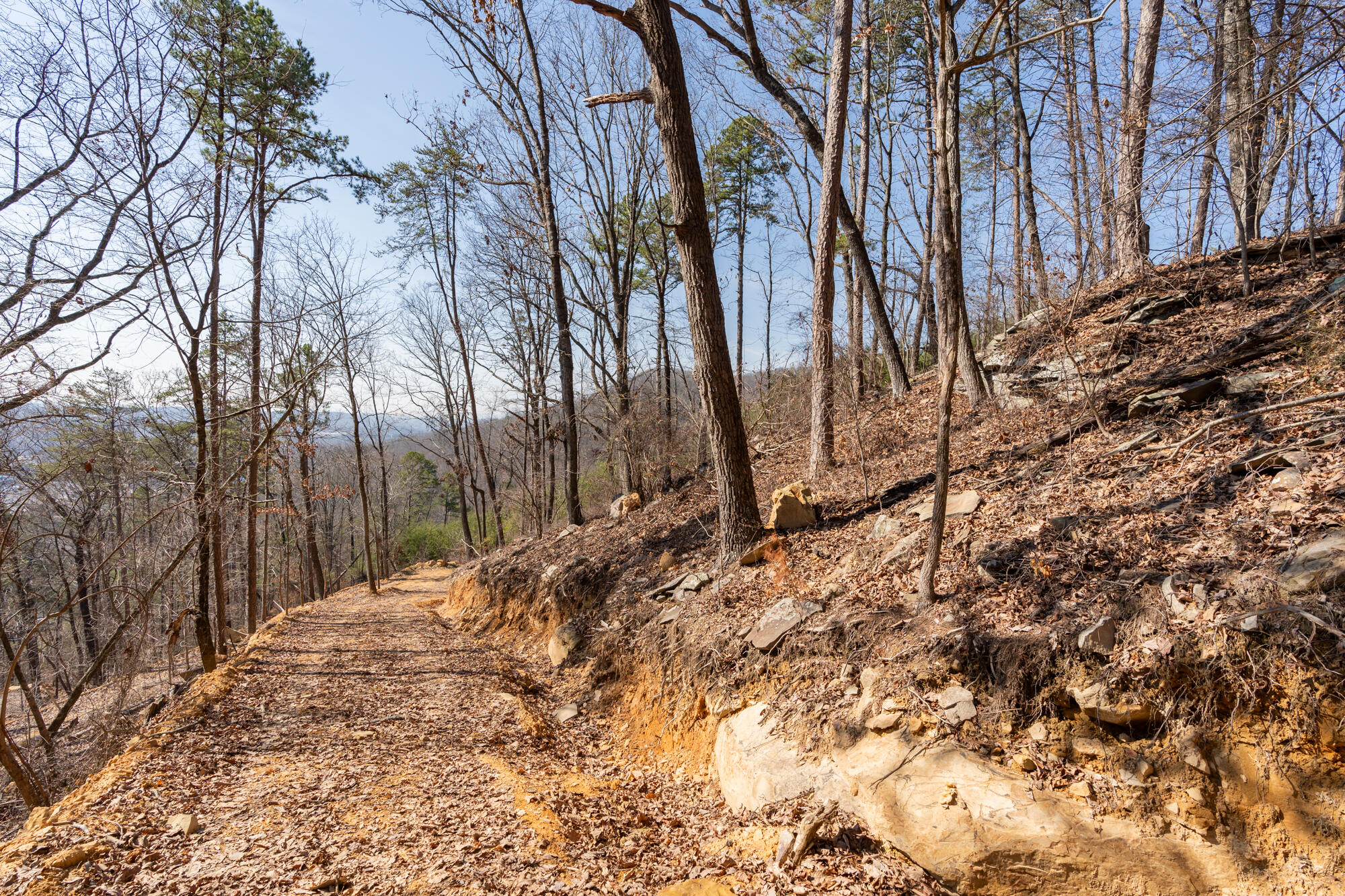 134 Hamilton Avenue, Soddy Daisy, Tennessee image 22