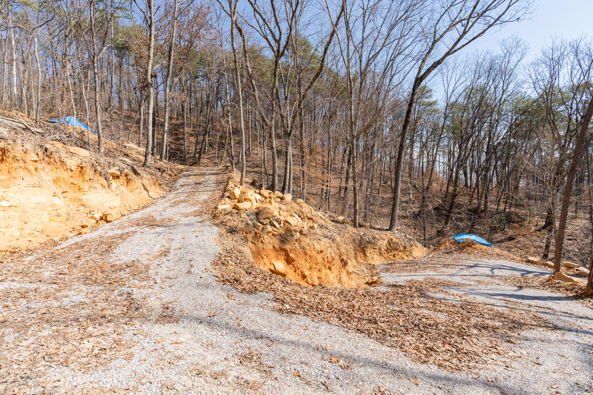 134 Hamilton Avenue, Soddy Daisy, Tennessee image 24