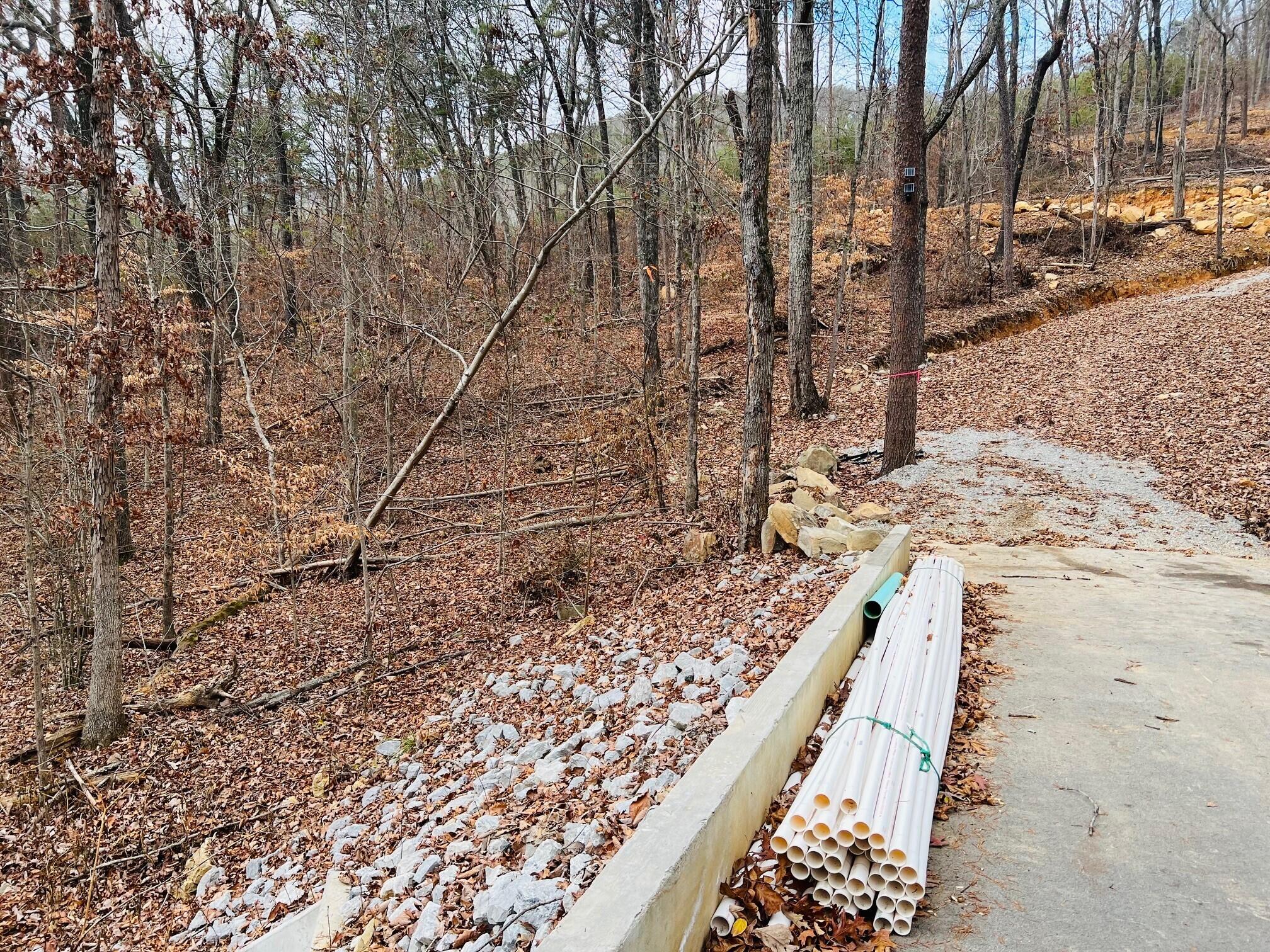134 Hamilton Avenue, Soddy Daisy, Tennessee image 5