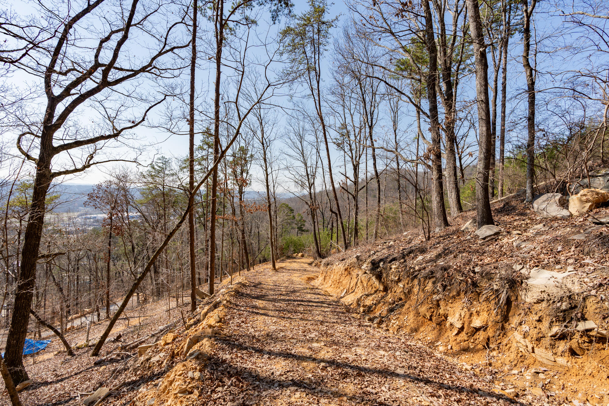 134 Hamilton Avenue, Soddy Daisy, Tennessee image 16