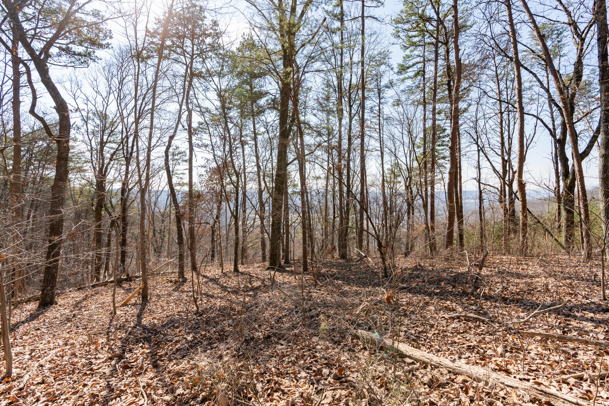 134 Hamilton Avenue, Soddy Daisy, Tennessee image 12