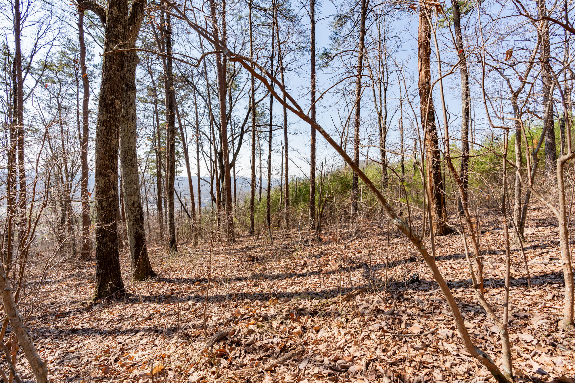 134 Hamilton Avenue, Soddy Daisy, Tennessee image 11