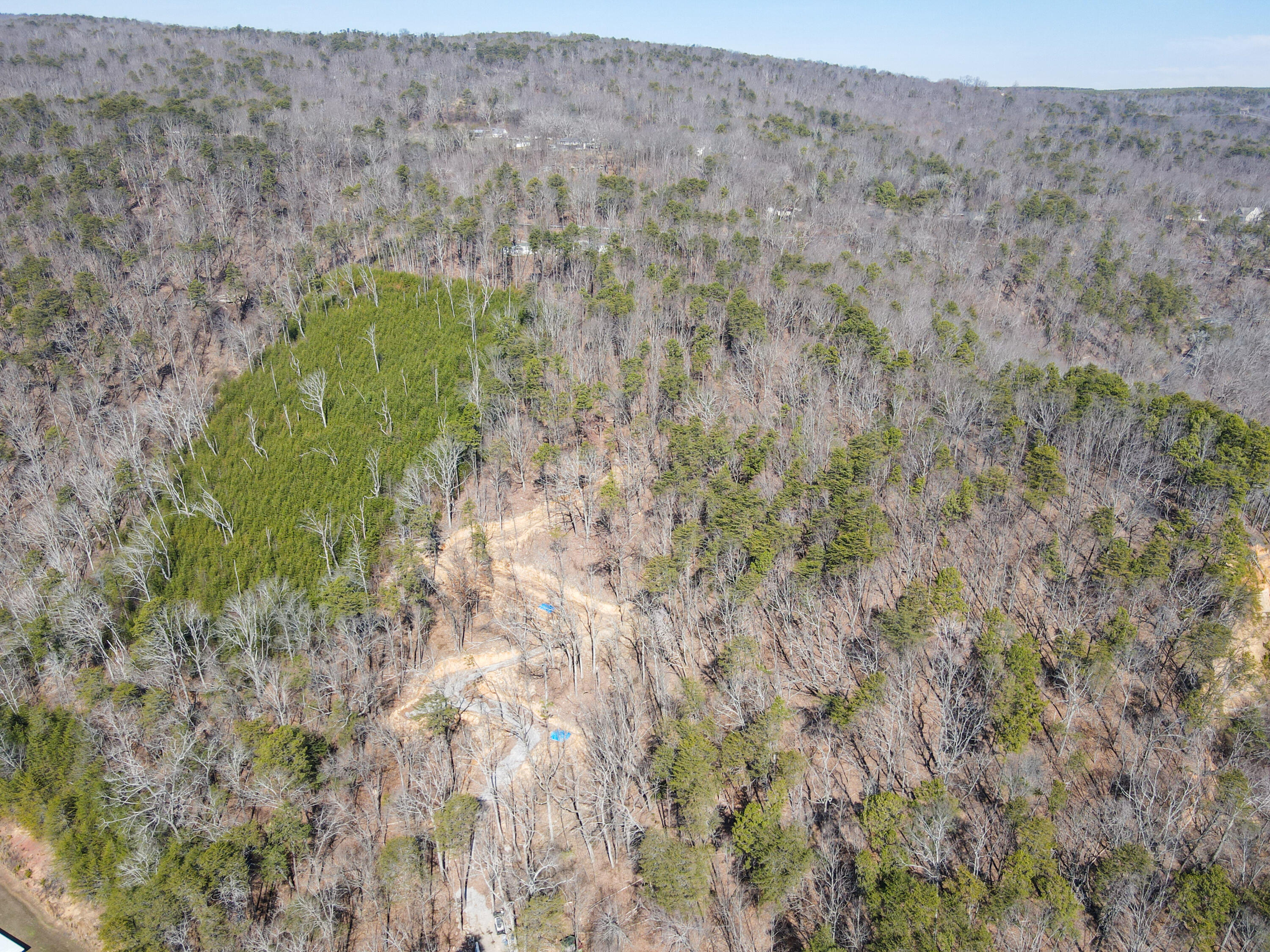 134 Hamilton Avenue, Soddy Daisy, Tennessee image 39