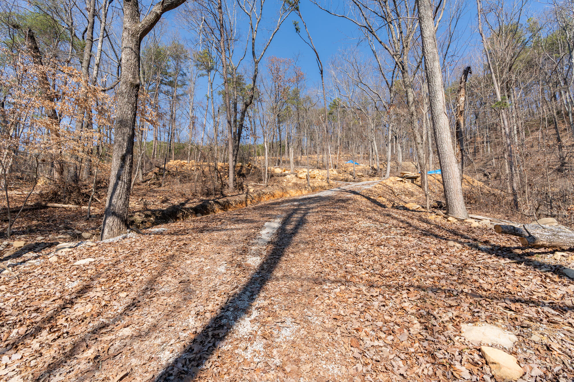 134 Hamilton Avenue, Soddy Daisy, Tennessee image 26