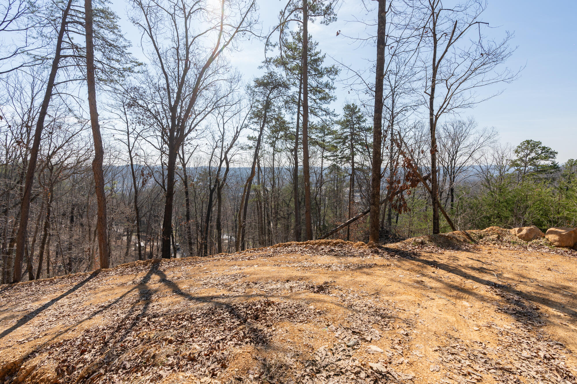 134 Hamilton Avenue, Soddy Daisy, Tennessee image 23