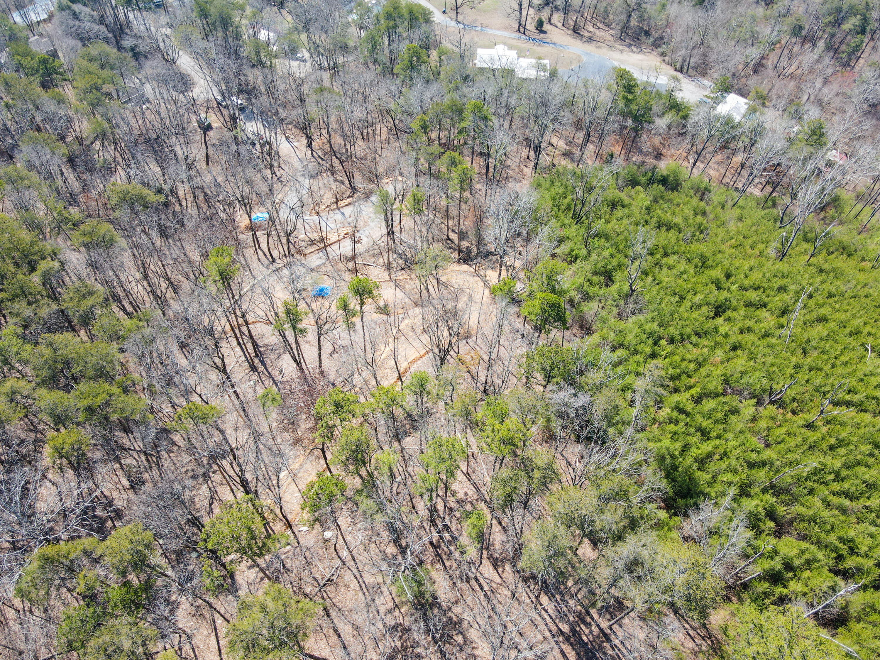 134 Hamilton Avenue, Soddy Daisy, Tennessee image 37