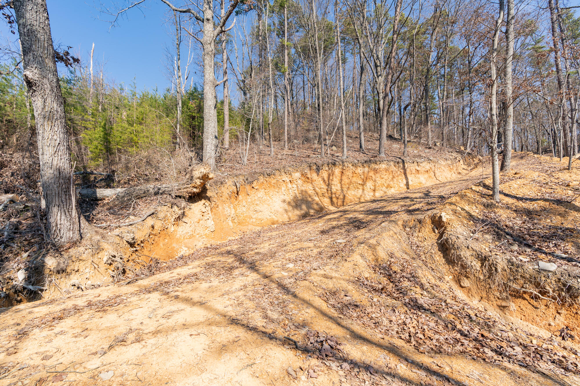 134 Hamilton Avenue, Soddy Daisy, Tennessee image 19