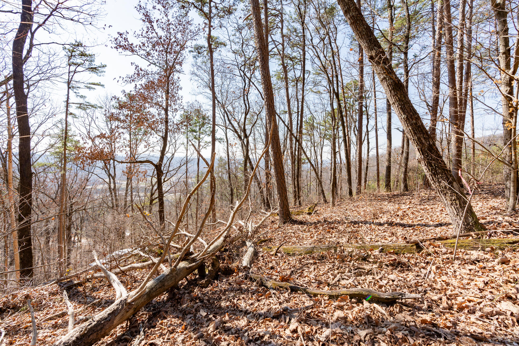 134 Hamilton Avenue, Soddy Daisy, Tennessee image 13