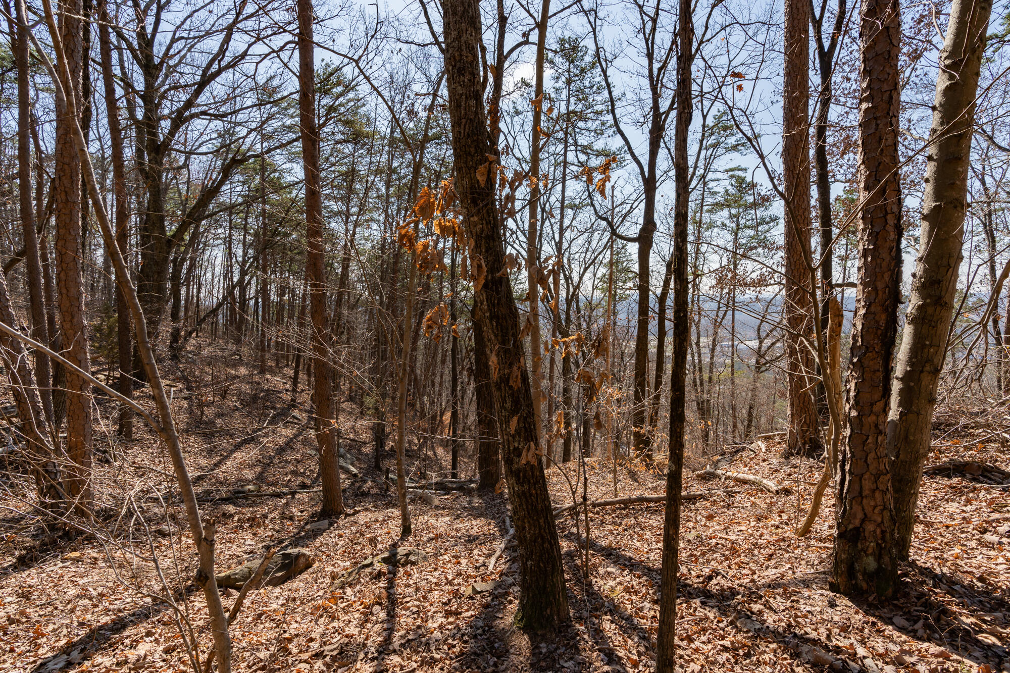 134 Hamilton Avenue, Soddy Daisy, Tennessee image 15