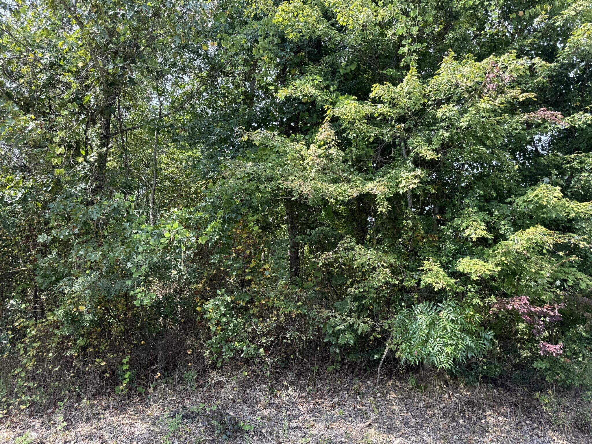 Bryant, Alabama 35958, United States, ,Land,Pending,201845