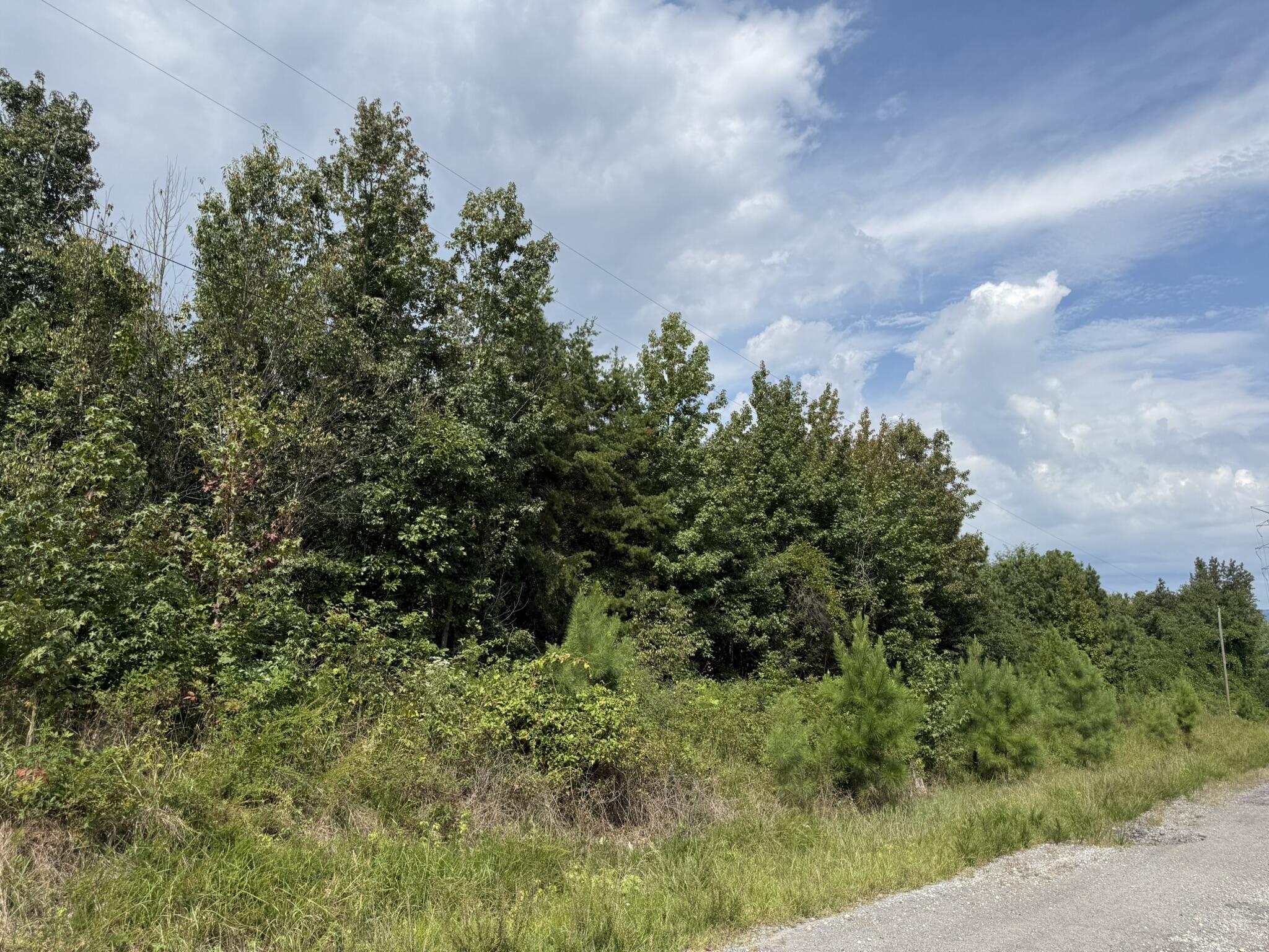 Bryant, Alabama 35958, United States, ,Land,Pending,201845