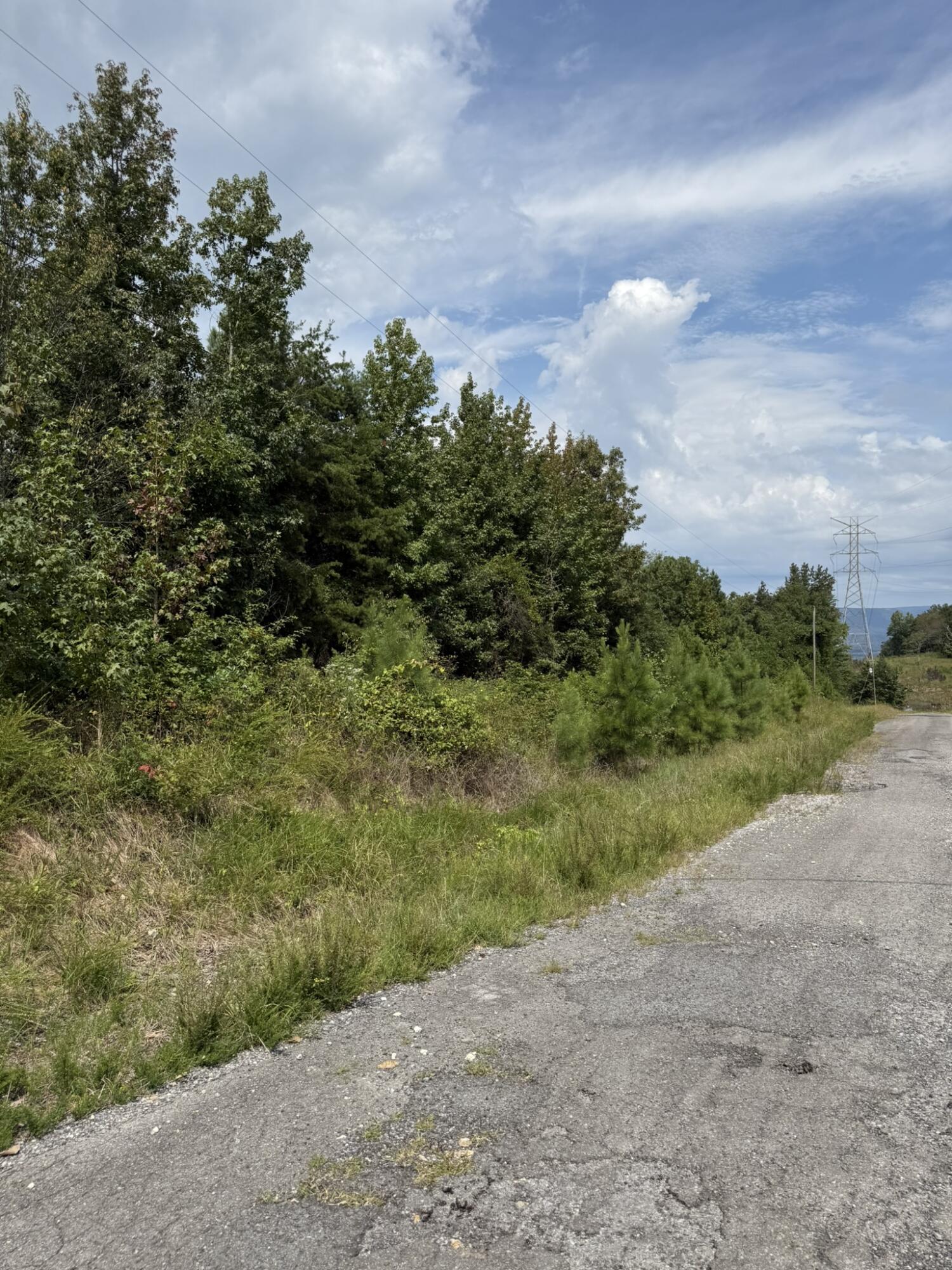 Bryant, Alabama 35958, United States, ,Land,Pending,201845