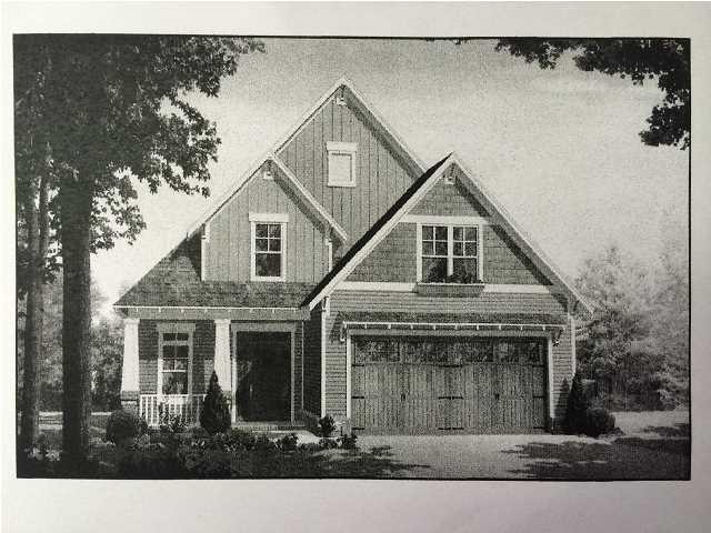 9017 Silver Maple