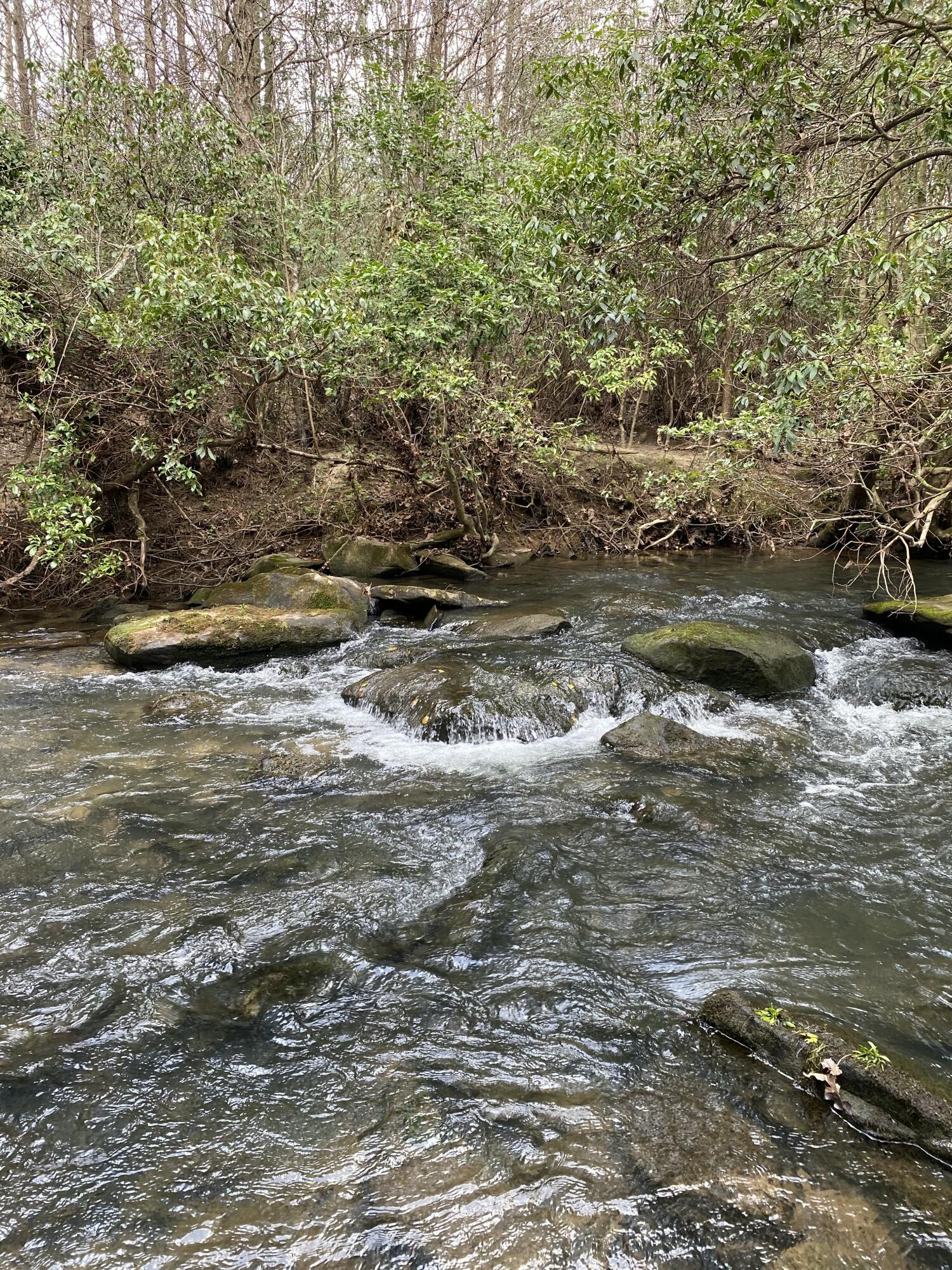 Lone Wolf Trail #3, Spencer, Tennessee image 3