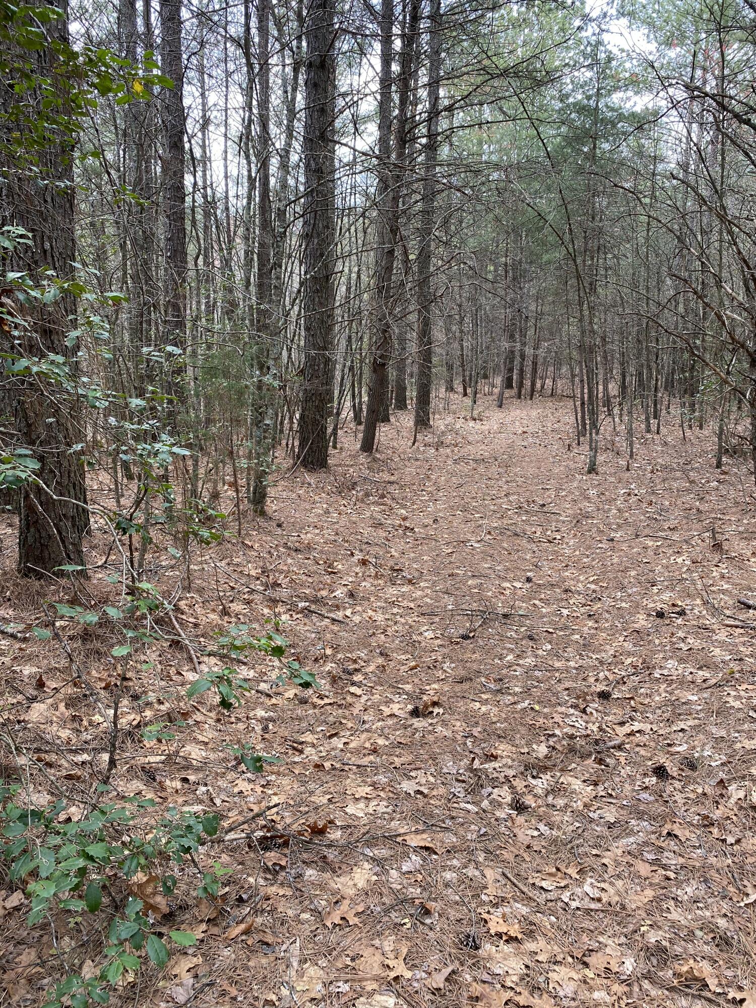 Lone Wolf Trail #3, Spencer, Tennessee image 17