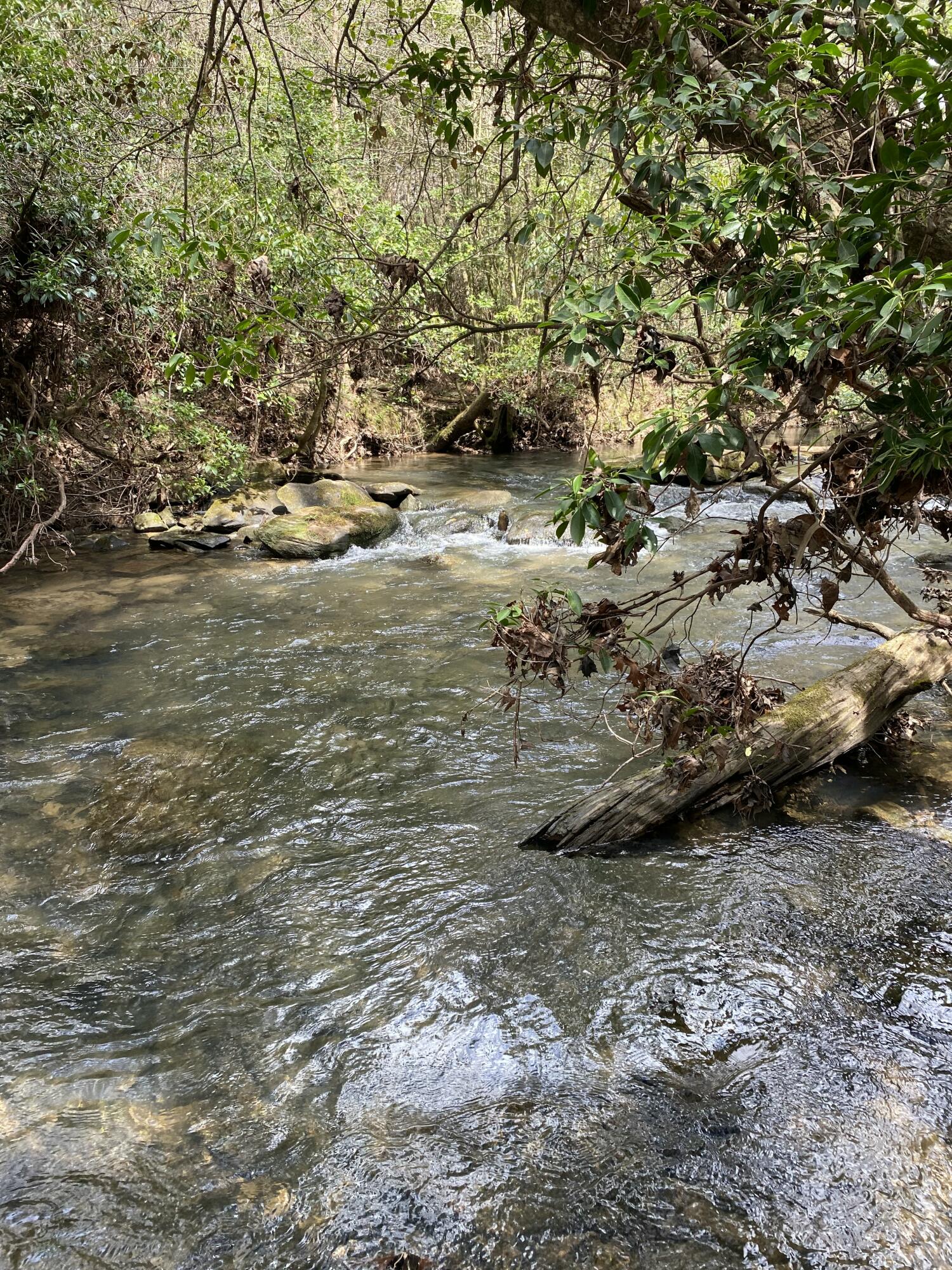 Lone Wolf Trail #3, Spencer, Tennessee image 12