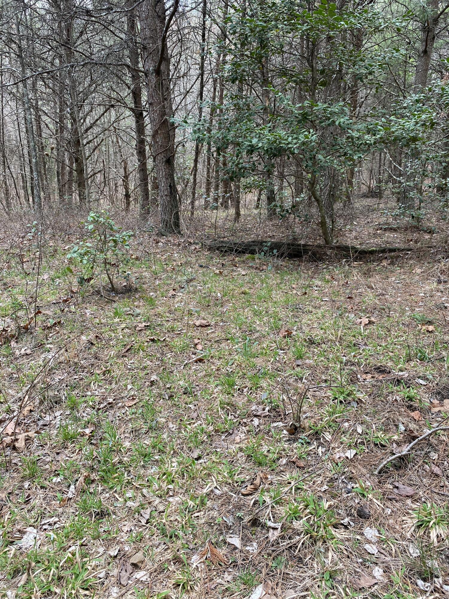 Lone Wolf Trail #3, Spencer, Tennessee image 18