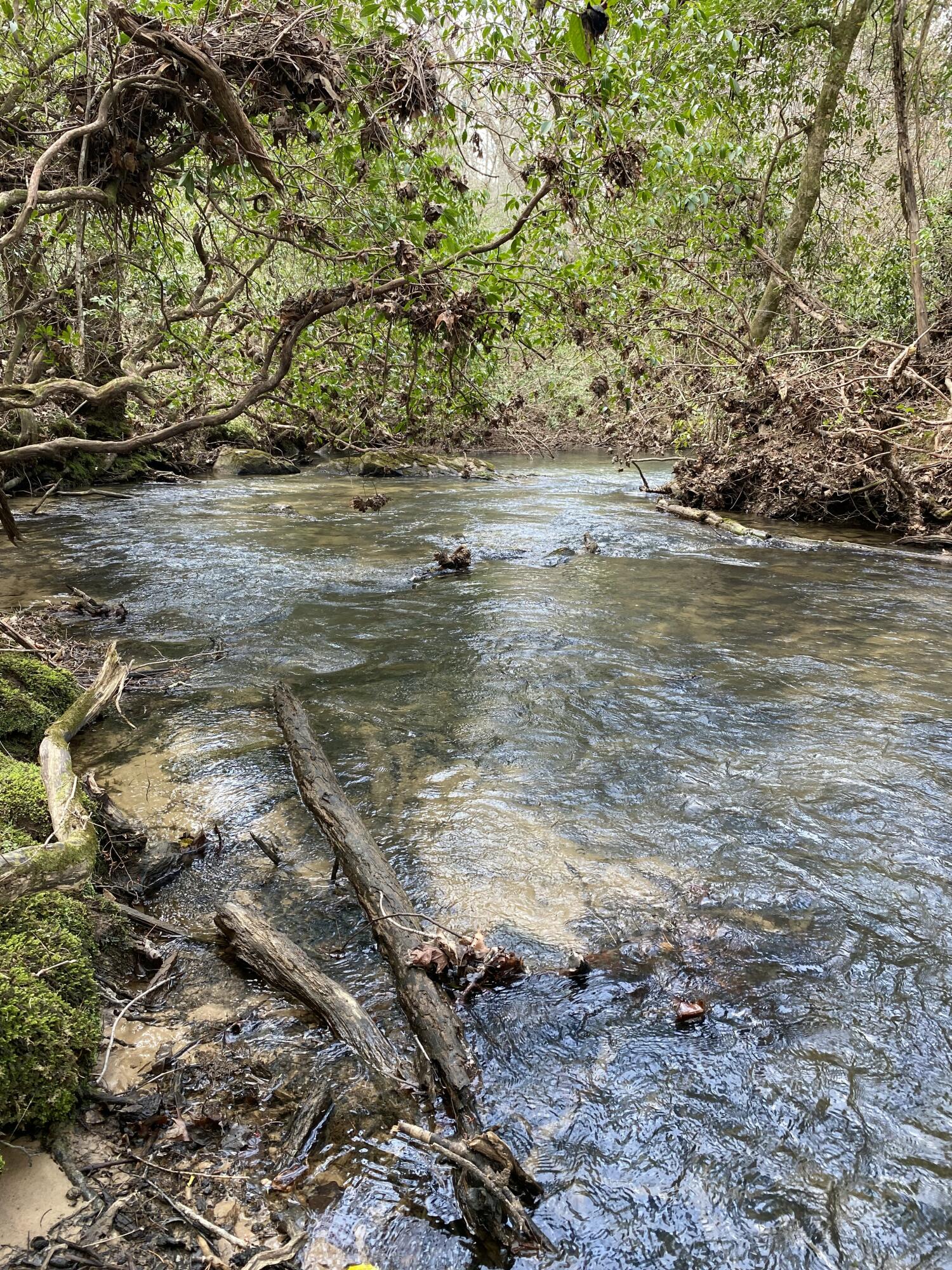 Lone Wolf Trail #3, Spencer, Tennessee image 15