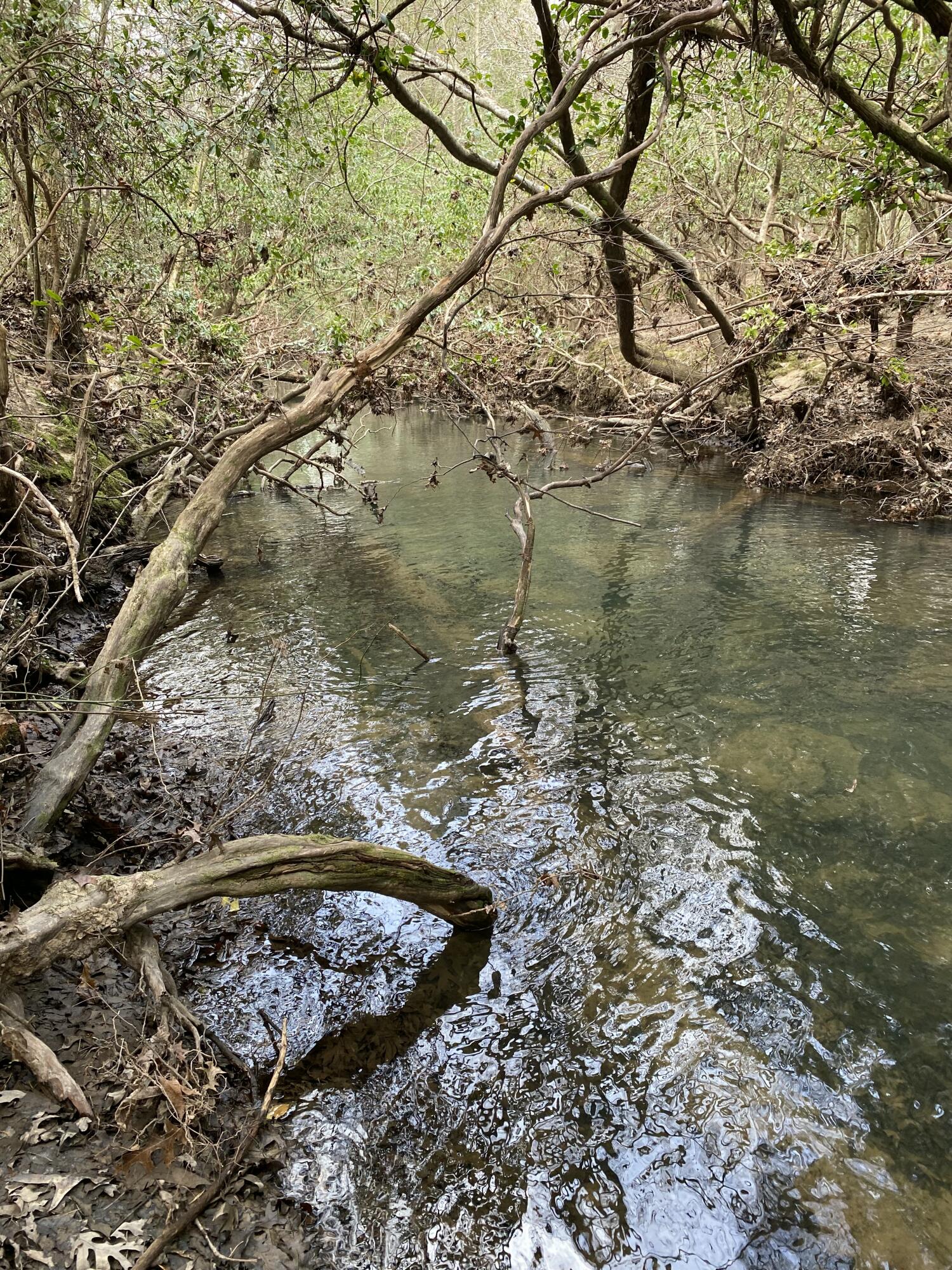 Lone Wolf Trail #3, Spencer, Tennessee image 11