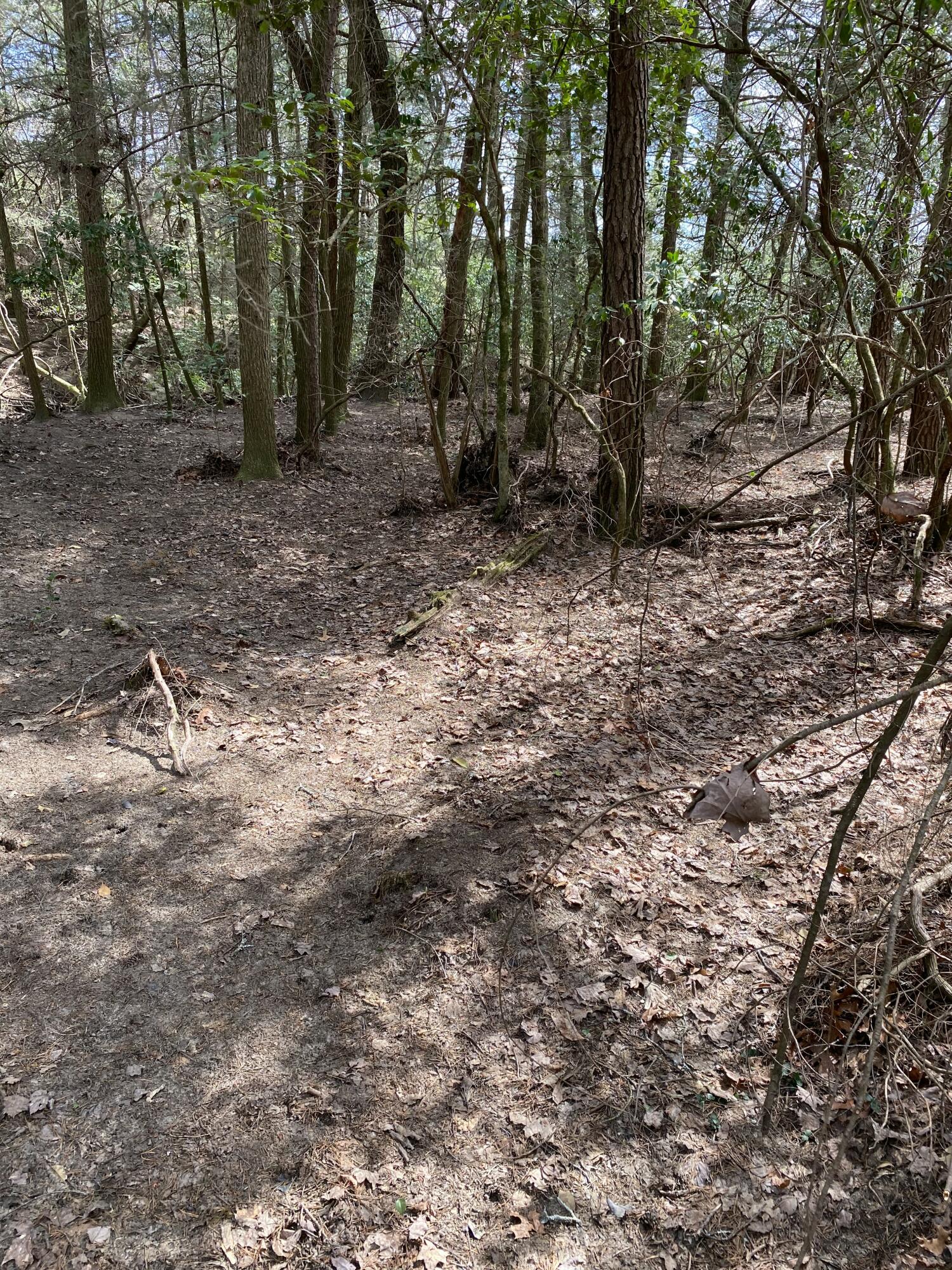 Lone Wolf Trail #3, Spencer, Tennessee image 9