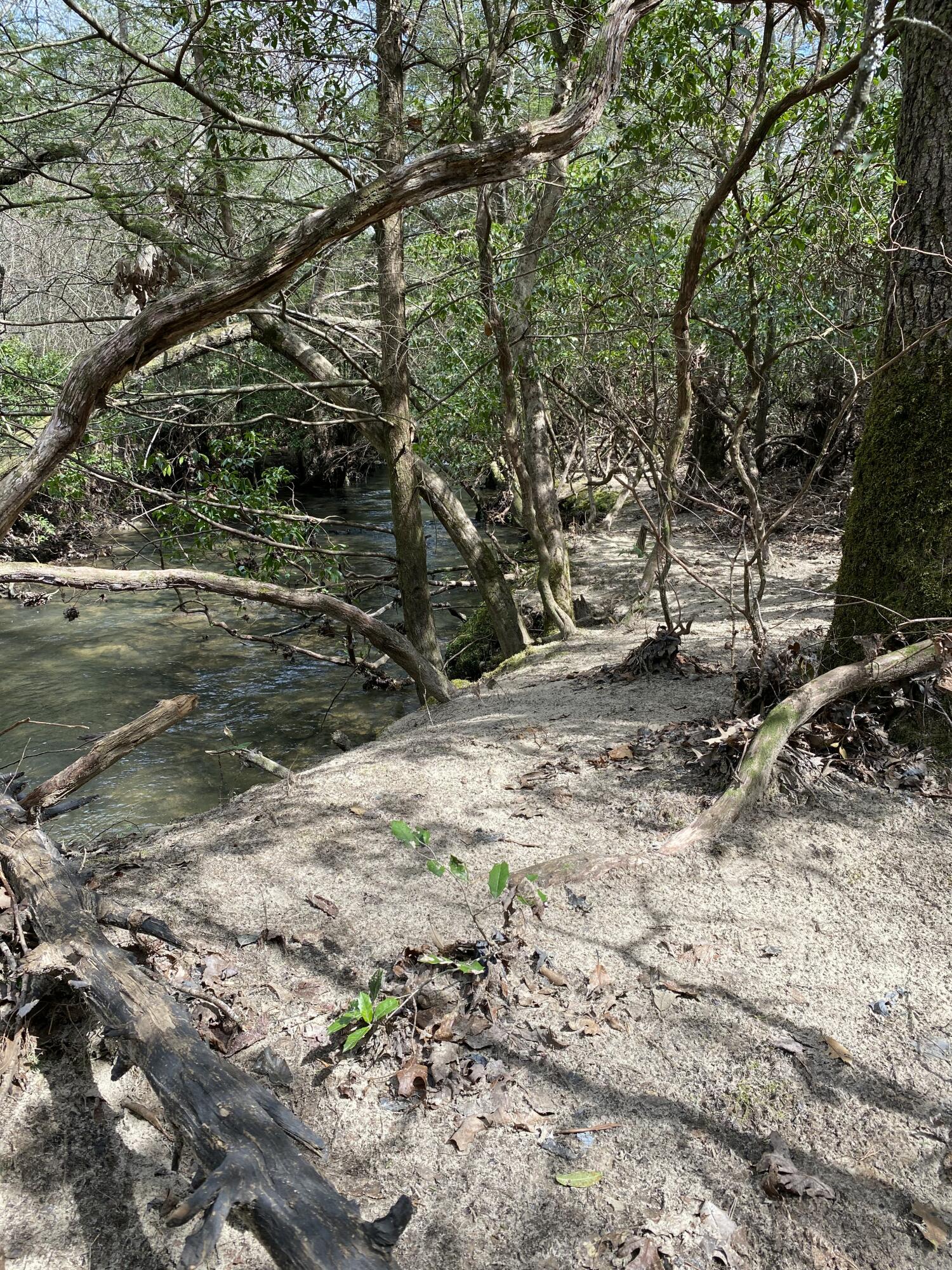 Lone Wolf Trail #3, Spencer, Tennessee image 13