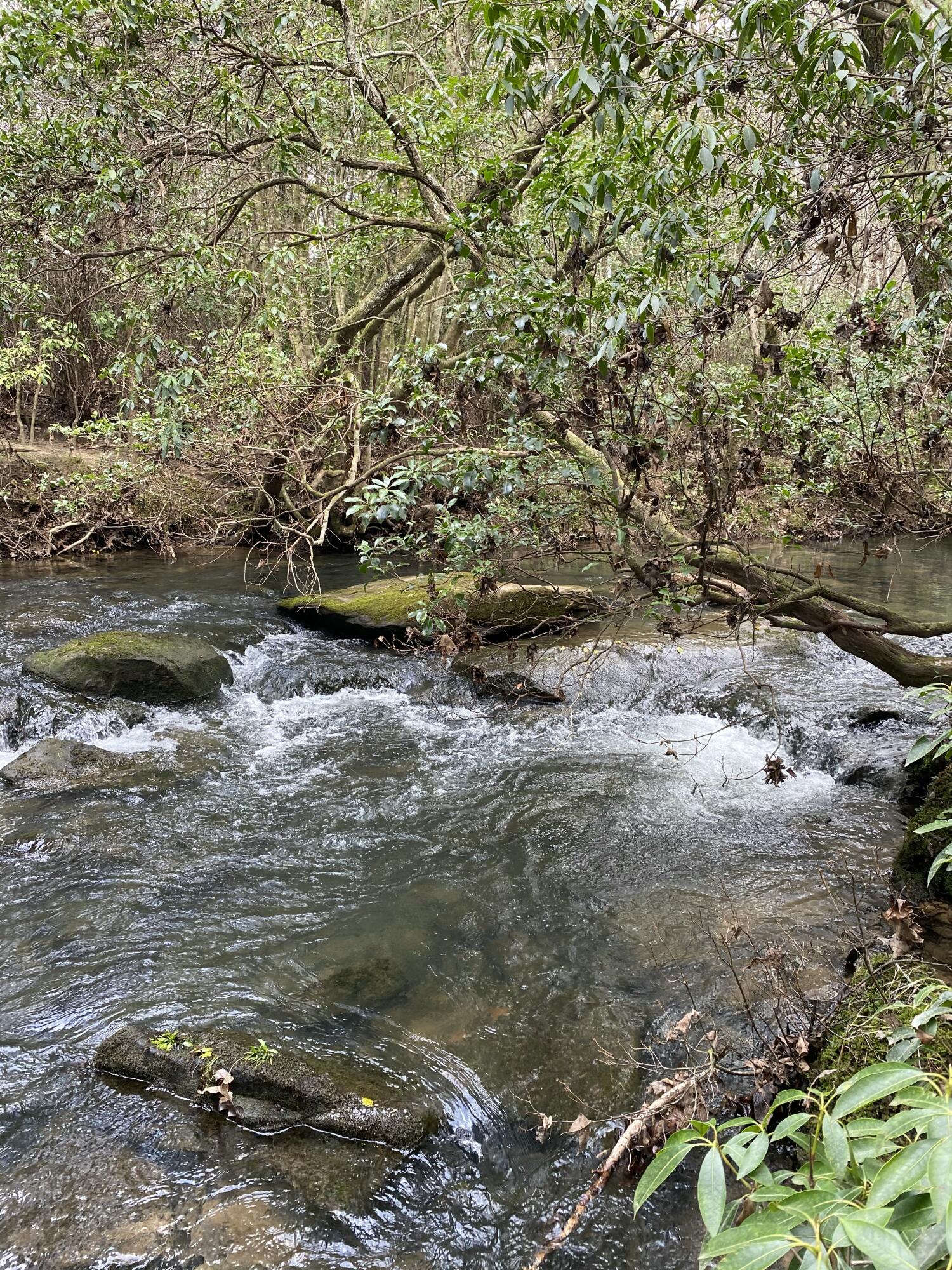 Lone Wolf Trail #3, Spencer, Tennessee image 2