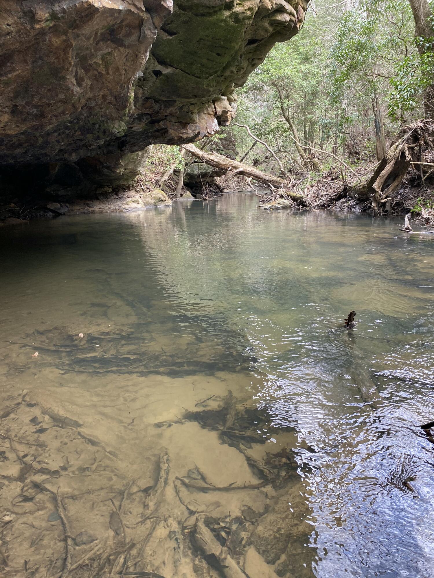 Lone Wolf Trail #3, Spencer, Tennessee image 5