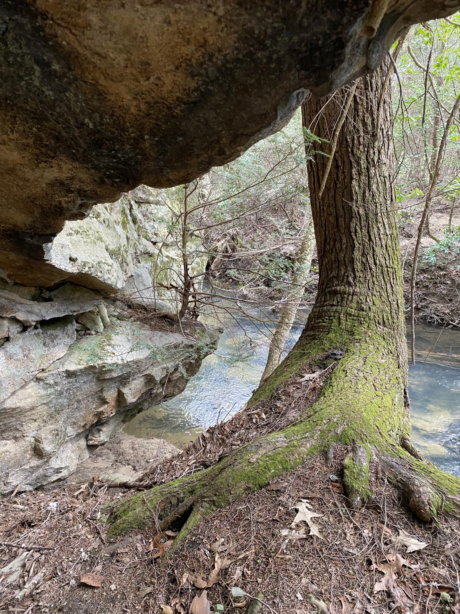Lone Wolf Trail #3, Spencer, Tennessee image 1