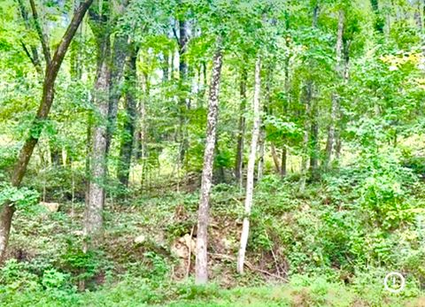 Tiny photo for 422 Timberlinks Drive, Signal Mountain, TN 37377 (MLS # 1521441)