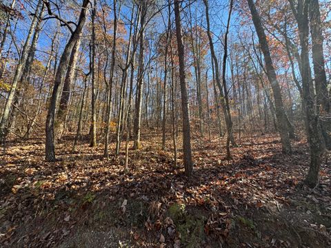 28 Acres County Road 917 Collinsville AL 35961