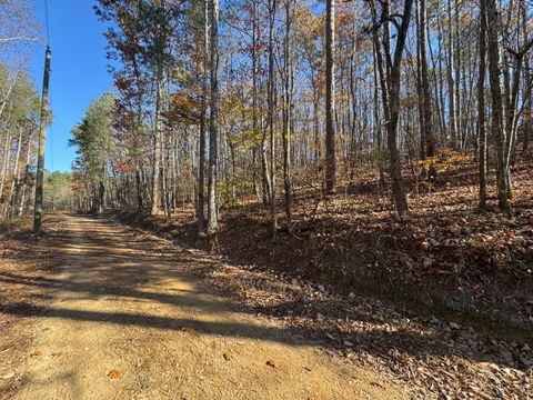 Photo of 28 Acres County Road 917, Collinsville, AL 35961 (MLS # 1531320)