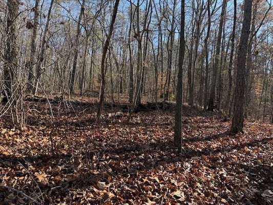 COUNTY RD 751, VALLEY HEAD, AL 35989 - Image 2fdf88cee4a4a575db1bed30e1df2a29/3349667091