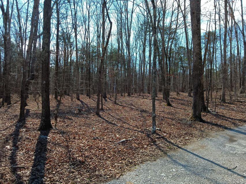 400 Maple Lane, Pikeville, Tennessee image 41